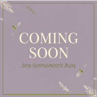 CBD For Dogs