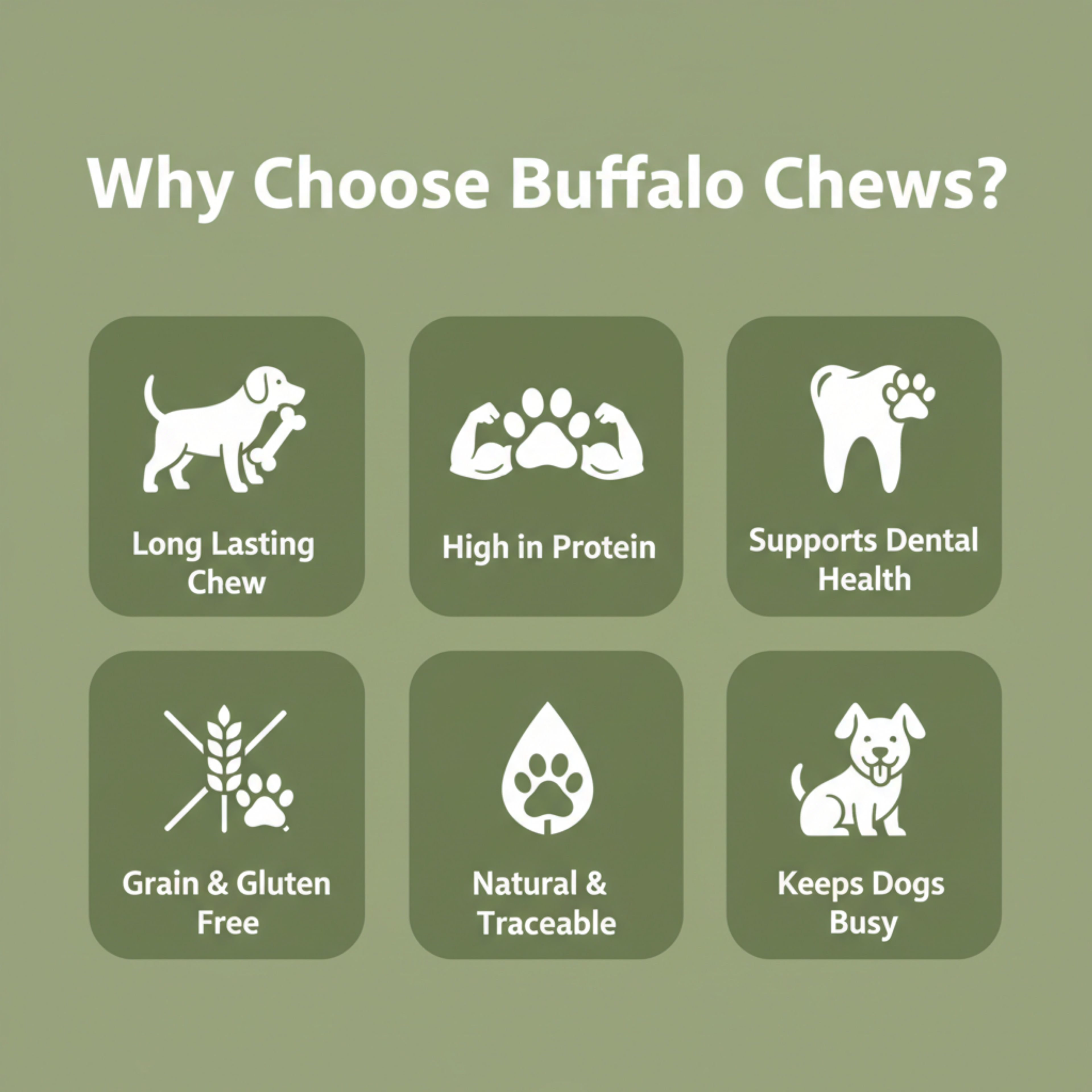 Promotional graphic for Buffalo Chews dog treats on an olive green background. White text at the top reads 'Why Choose Buffalo Chews?' and six dark green rounded squares below show white icons and benefits: long lasting chew, high in protein, supports dental health, grain and gluten free, natural and traceable, and keeps dogs busy.