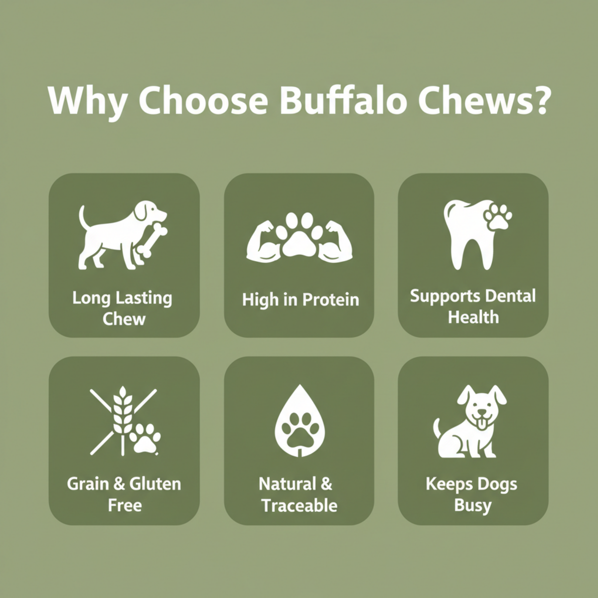 Promotional graphic for Buffalo Chews dog treats on an olive green background. White text at the top reads 'Why Choose Buffalo Chews?' and six dark green rounded squares below show white icons and benefits: long lasting chew, high in protein, supports dental health, grain and gluten free, natural and traceable, and keeps dogs busy.