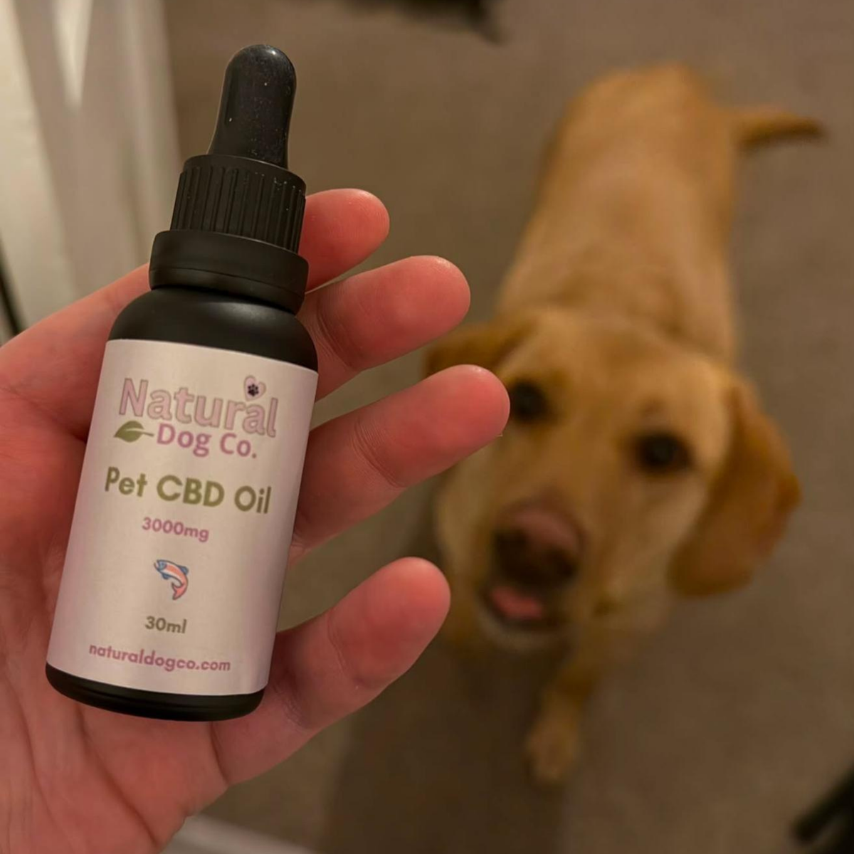 Pet CBD 3000mg (Hemp Seed Oil)