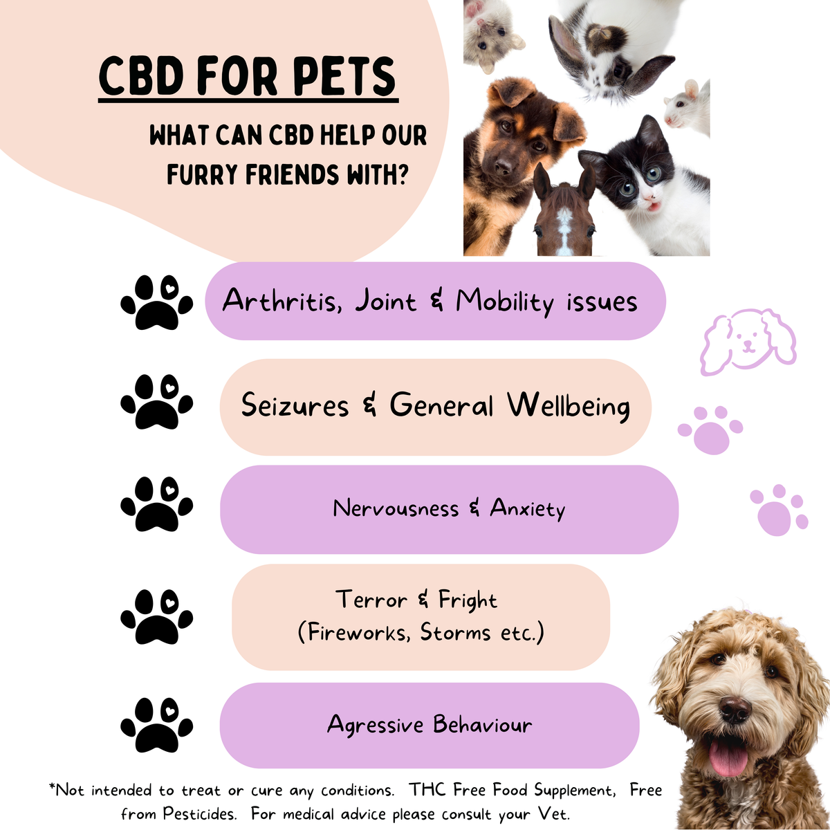 An informational graphic for a pet CBD supplement, featuring a collage of various cats and a golden doodoodle dog on a white background. The graphic lists benefits of CBD for pets including arthritis, seizures, nervousness, and aggression, using pastel purple and beige rounded banners with black paw print icons.
