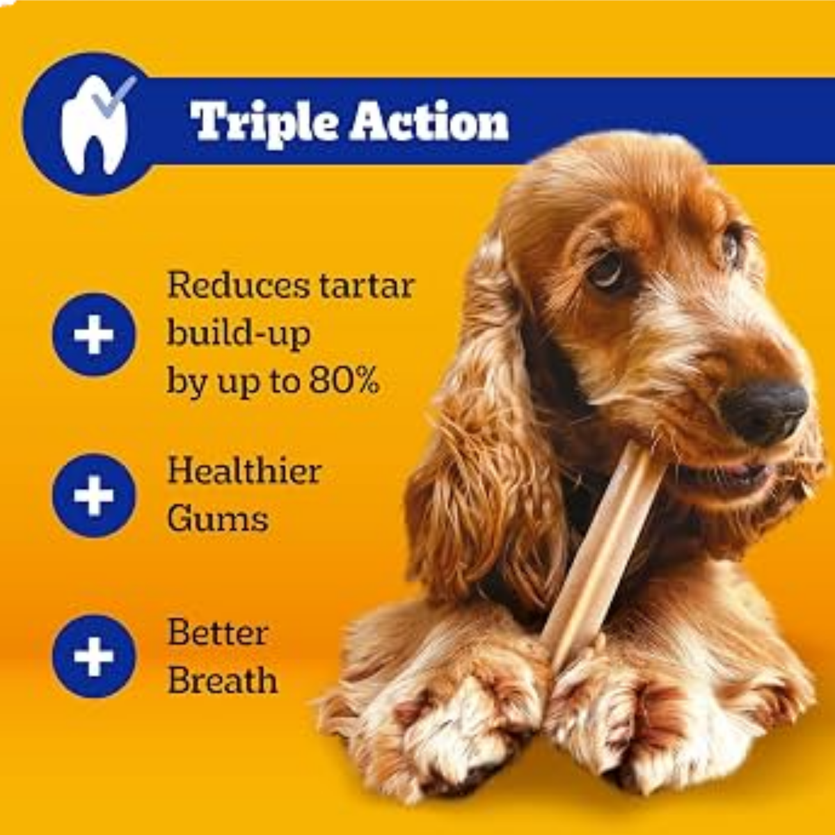 Promotional graphic for a dog dental product titled 'Triple Action' on a yellow background, with text listing benefits: reduces tartar build-up by up to 80%, healthier gums, and better breath. A brown Cocker Spaniel dog is shown on the right holding a chew.