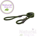 Green nylon rope slip lead 122cm for dogs, shown on a white background with Natural Dog Co. watermark