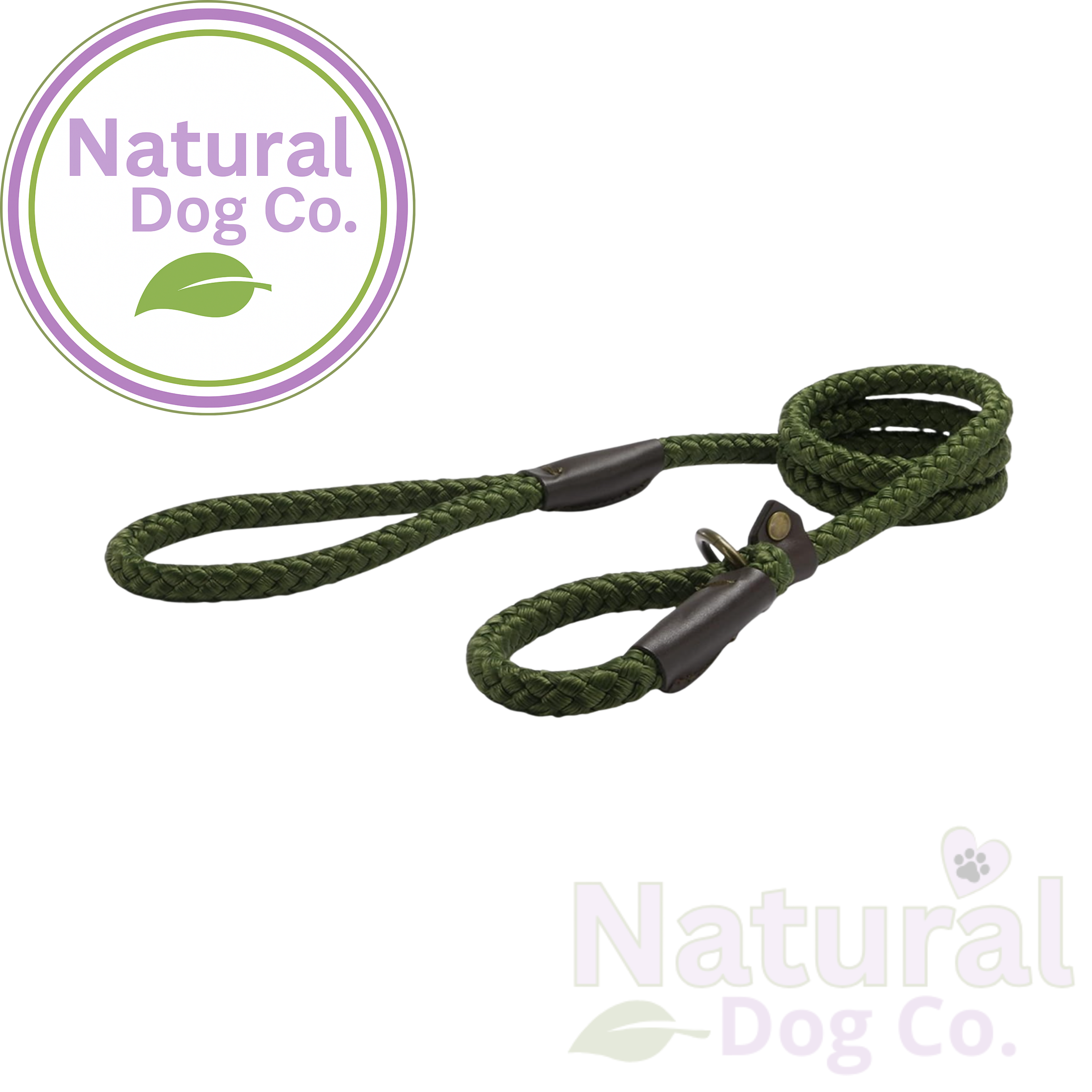 Green nylon rope slip lead 122cm for dogs, shown on a white background with Natural Dog Co. watermark
