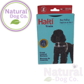 Natural Dog Co. Halti Train Front Control Harness packaging box, featuring a black poodle wearing the harness on a light blue background with a red top header.