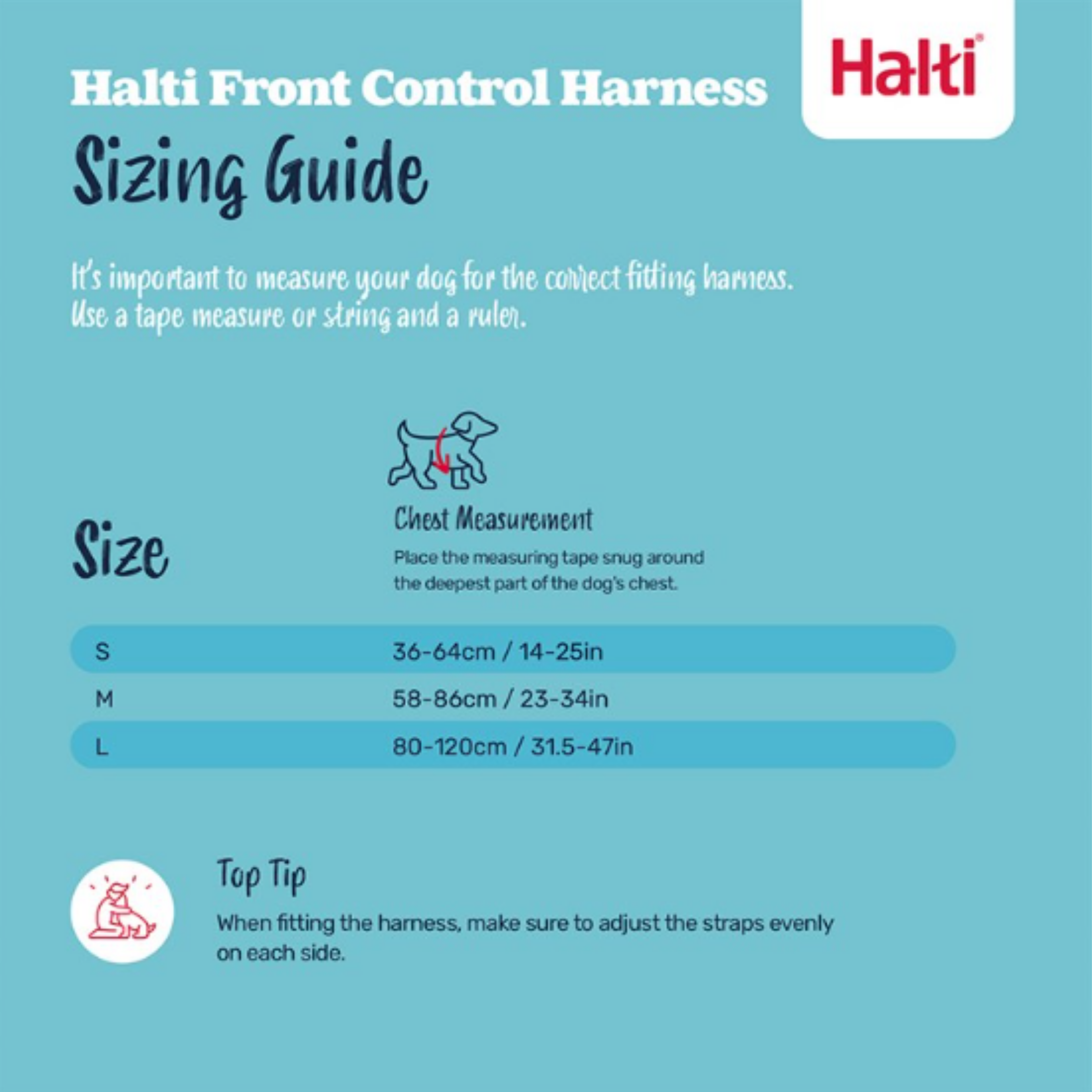 Halti Front Control Harness sizing guide S 36–64cm M 58–86cm L 80–120cm