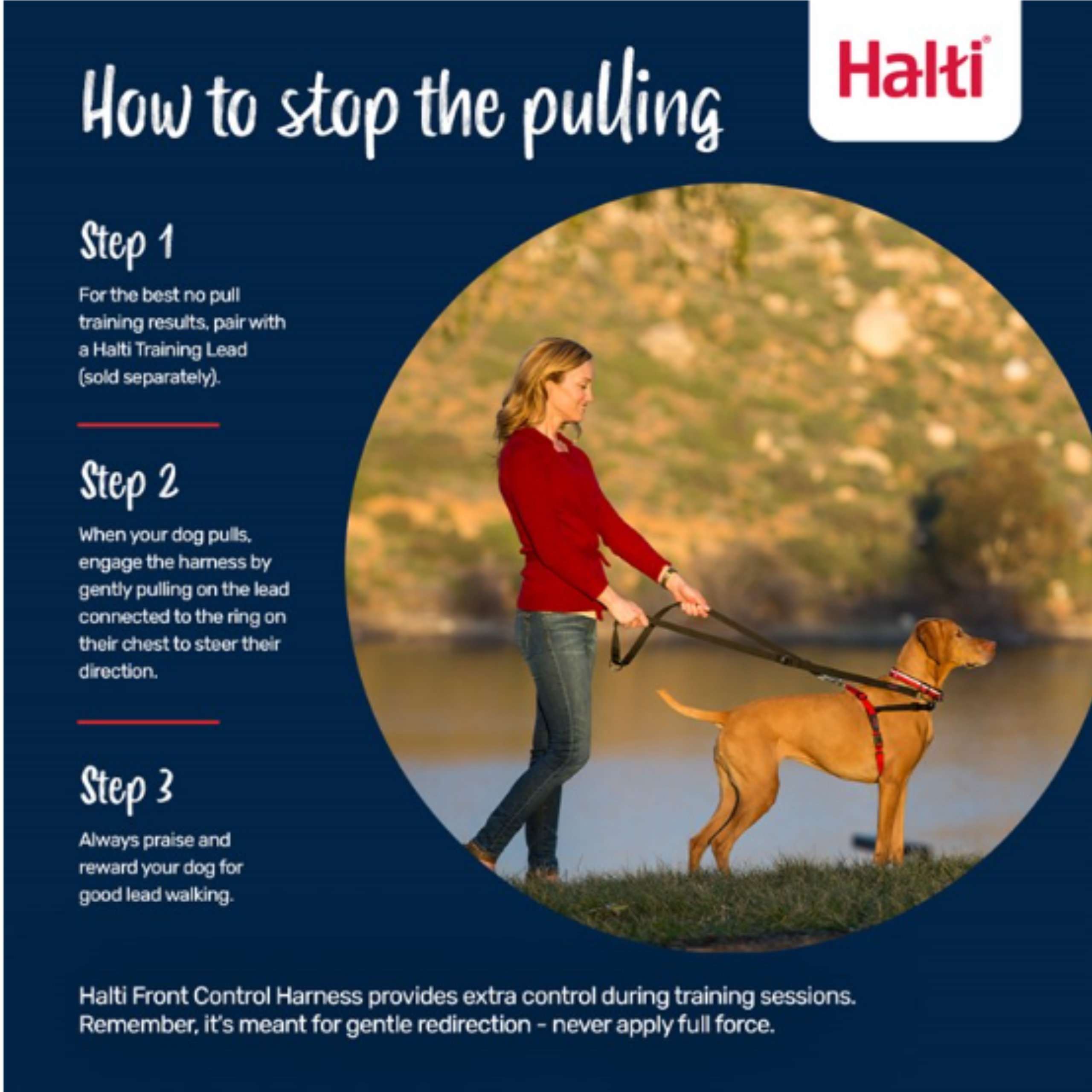 How to stop pulling with the Halti Front Control Harness 3 step training guide