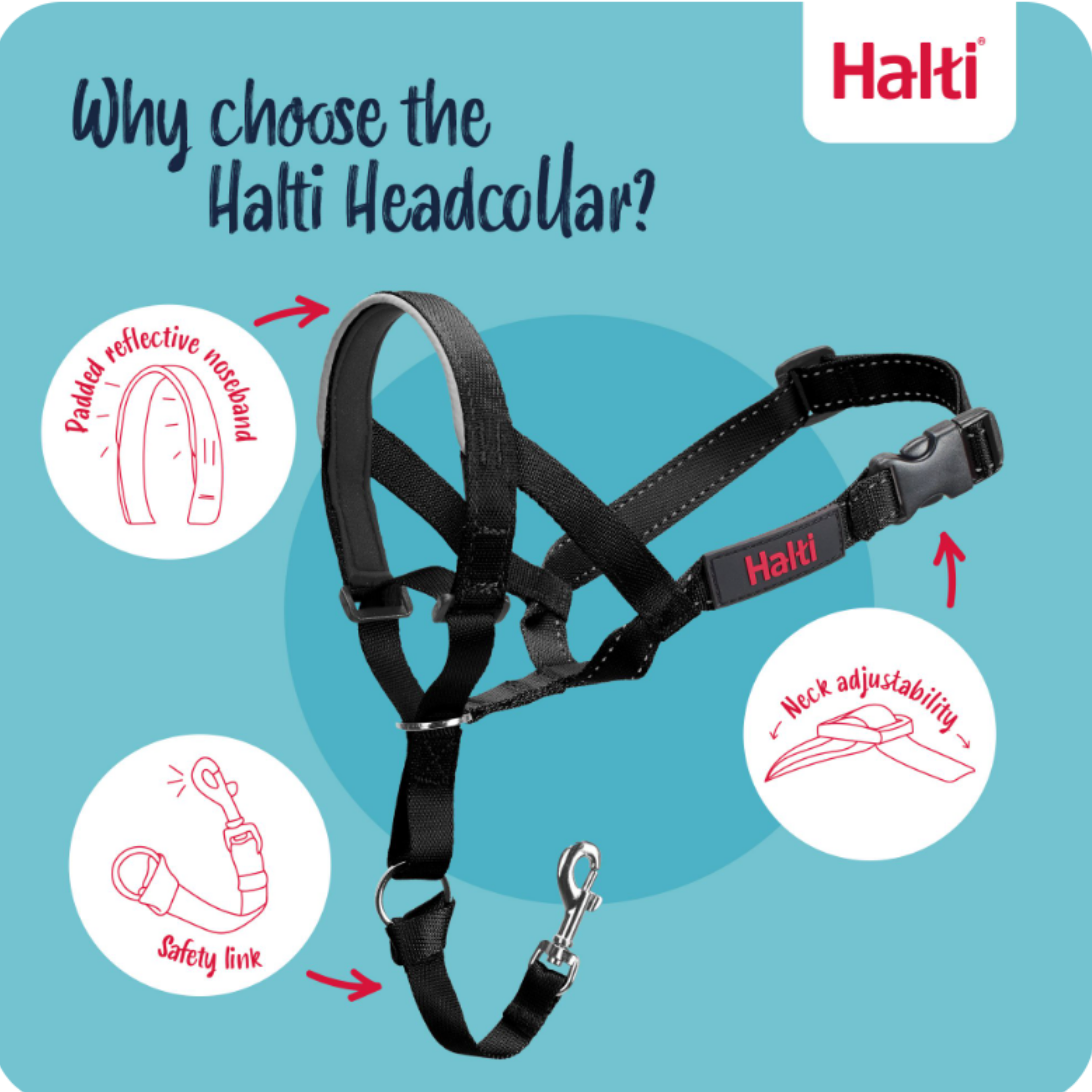 Why choose the Halti Head Collar — features infographic