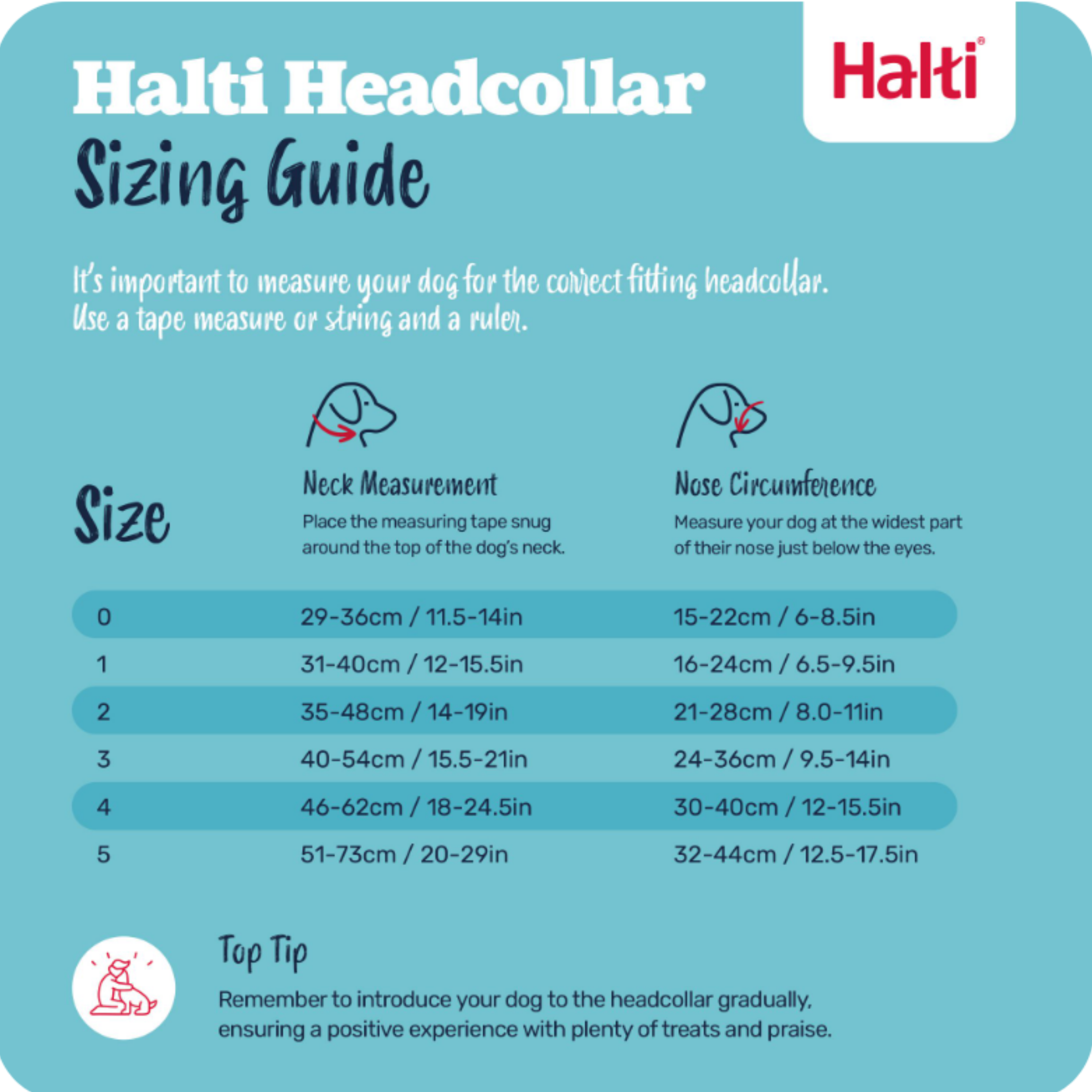 Halti Head Collar sizing guide chart showing all sizes