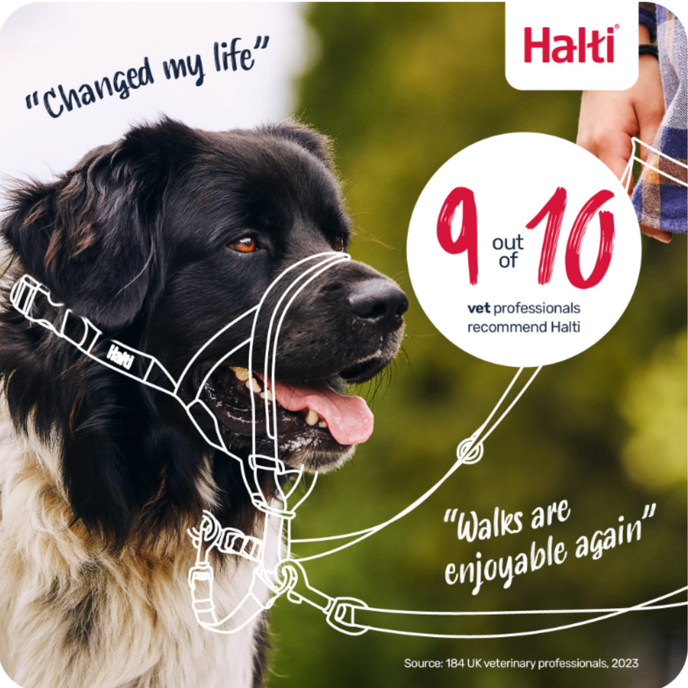 Halti Head Collar — 9 out of 10 vets recommend lifestyle shot