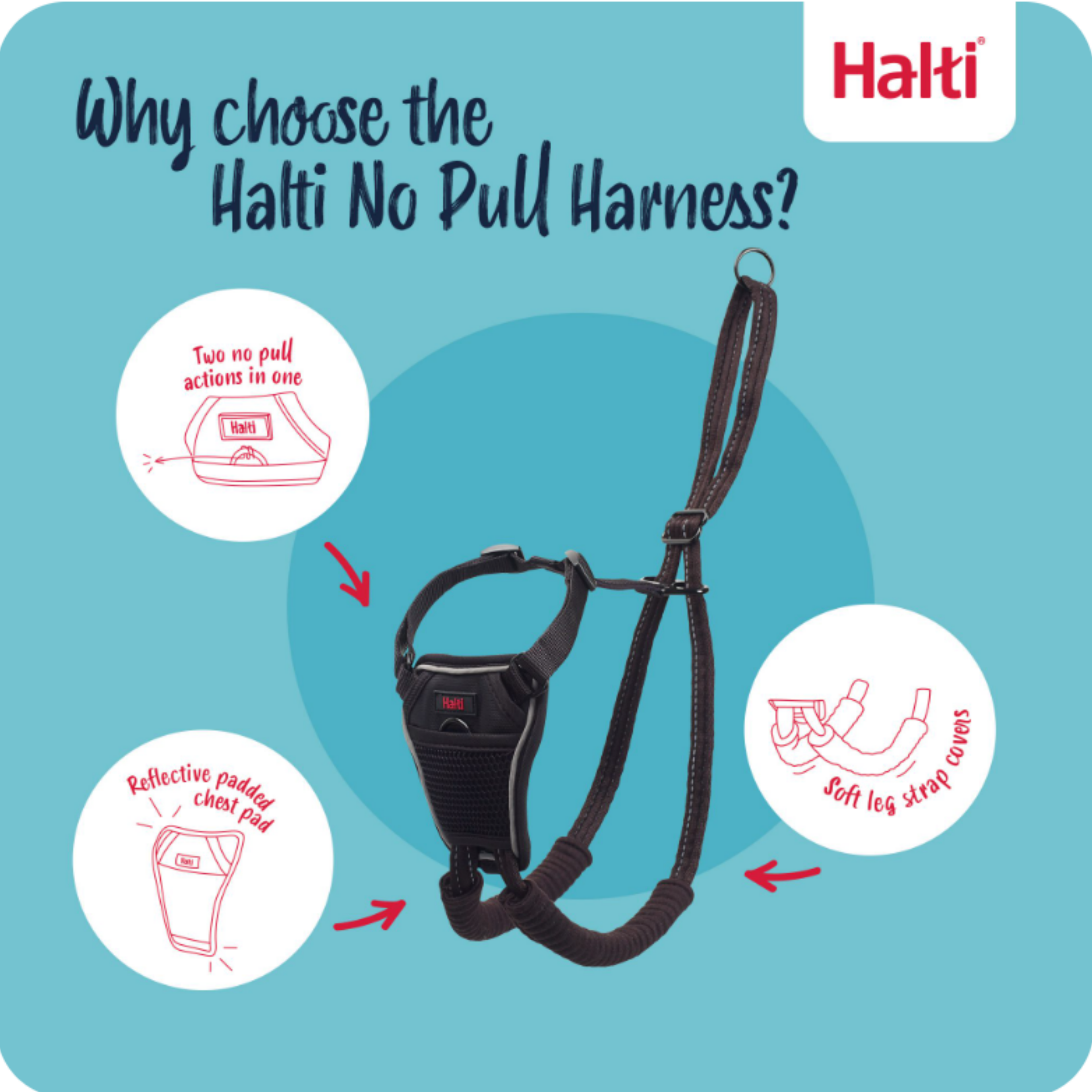 Halti No Pull Harness Size M