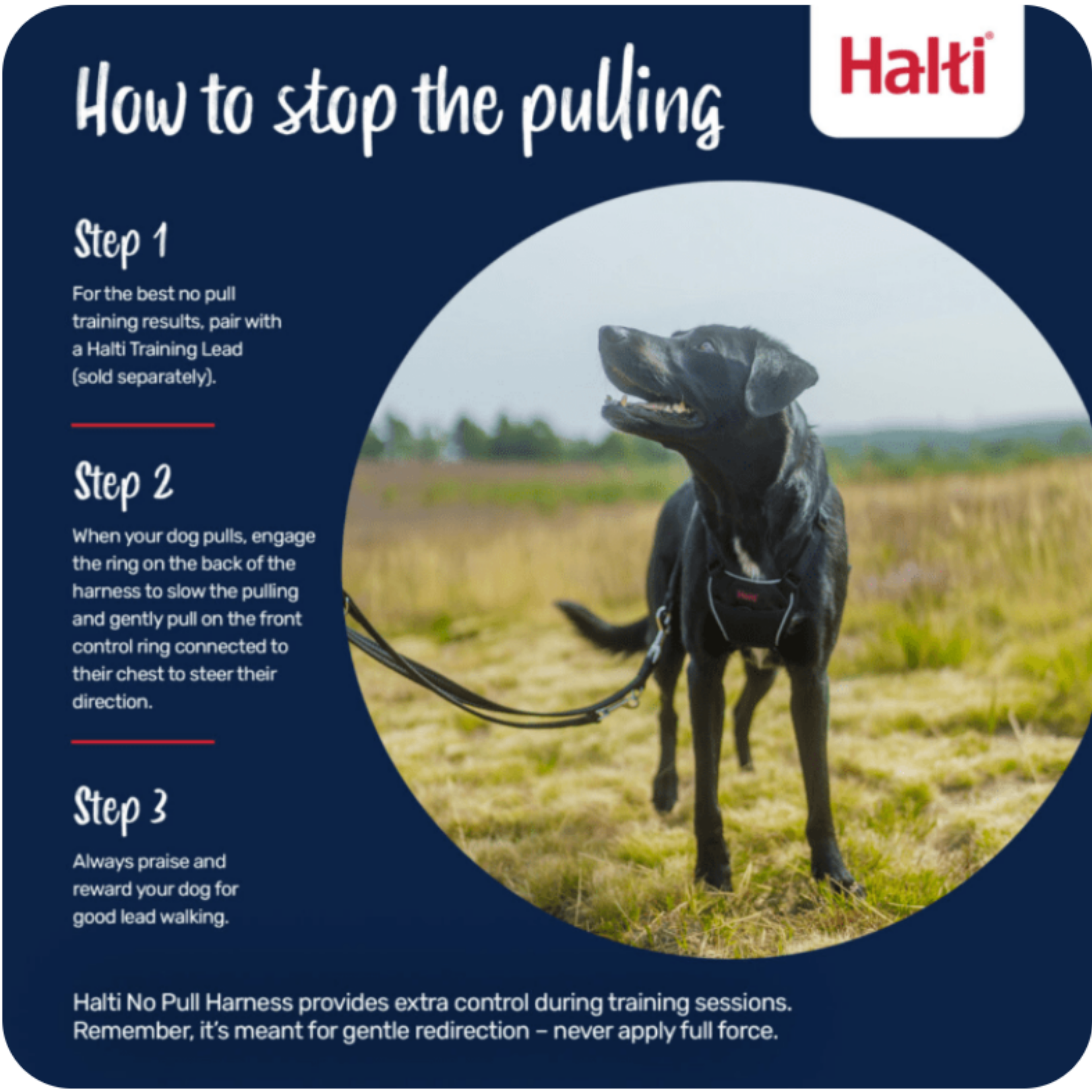 Halti No Pull Harness Size M