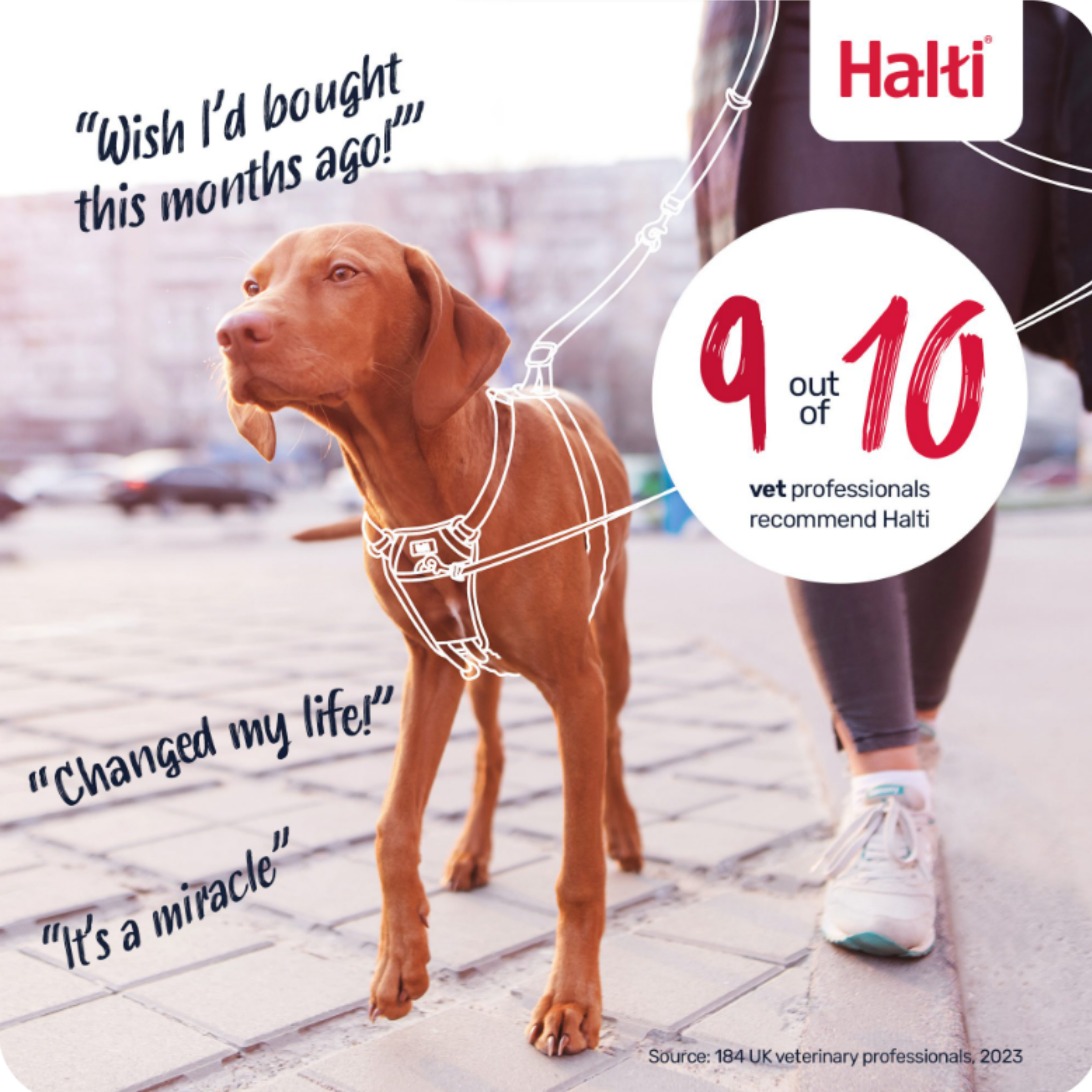 Halti No Pull Harness Size M