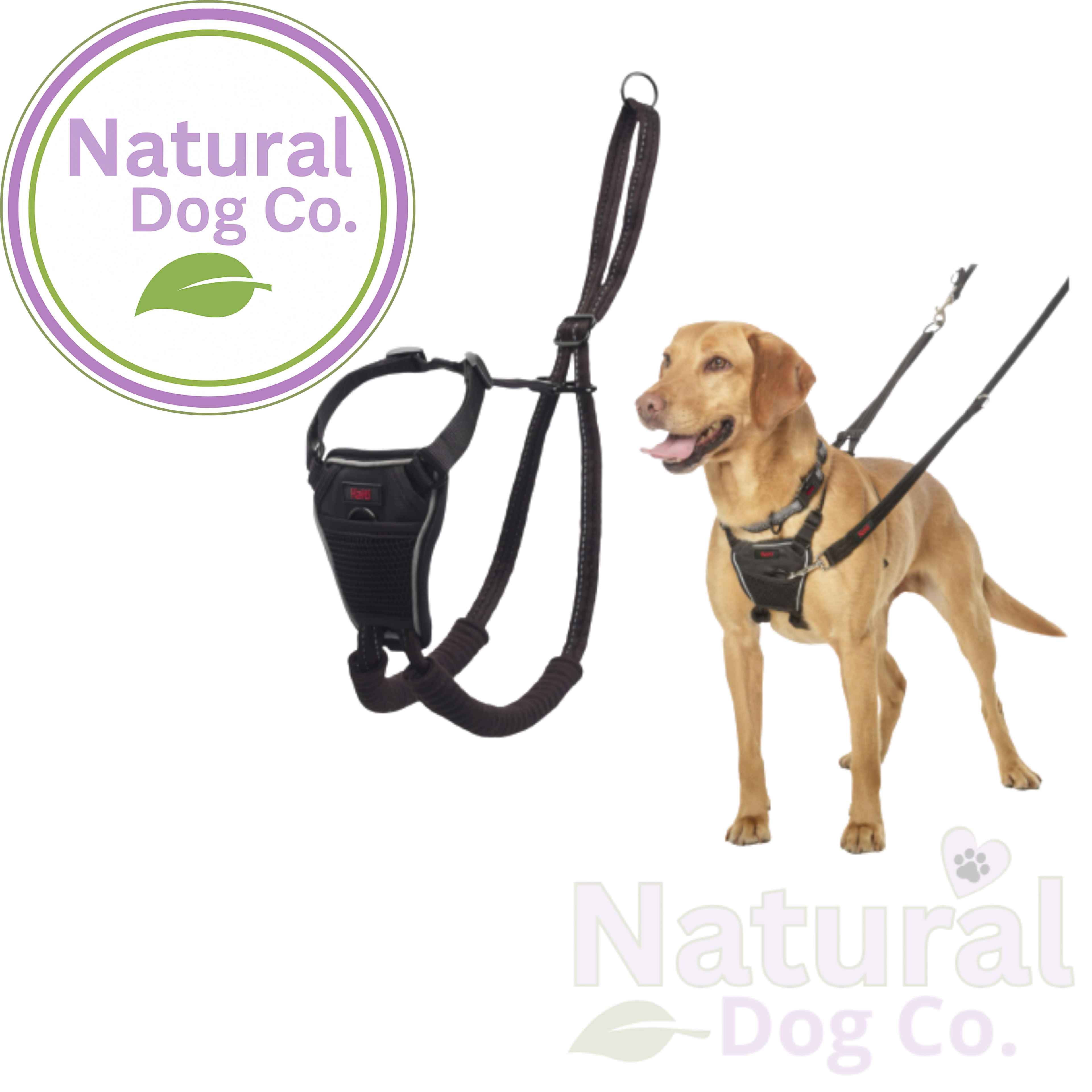 Halti No Pull Harness Size M