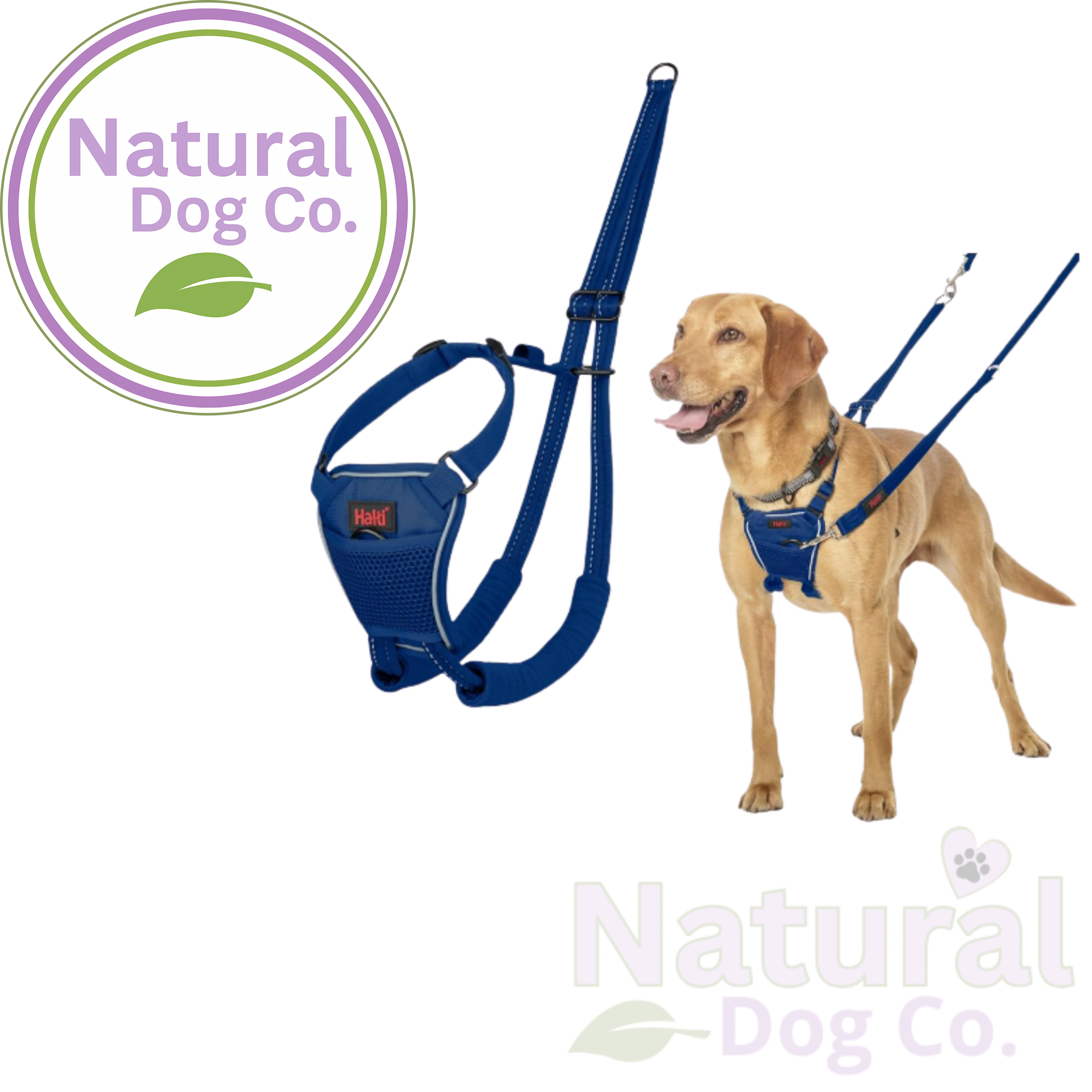 Halti No Pull Harness Size M