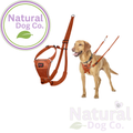 An orange-brown mesh dog harness and matching leash shown on a white background, alongside a golden retriever wearing the harness. A circular 'Natural Dog Co.