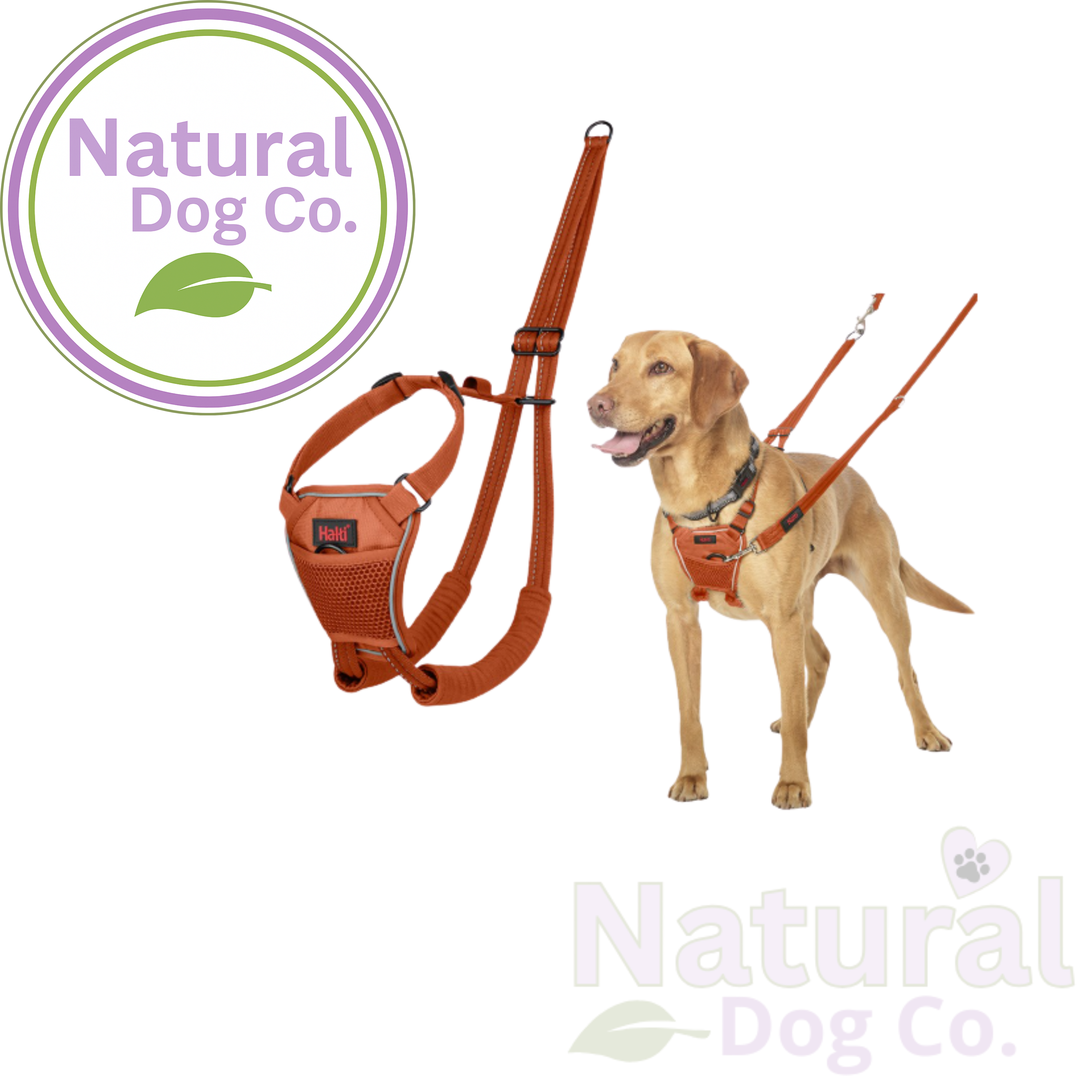 An orange-brown mesh dog harness and matching leash shown on a white background, alongside a golden retriever wearing the harness. A circular 'Natural Dog Co.