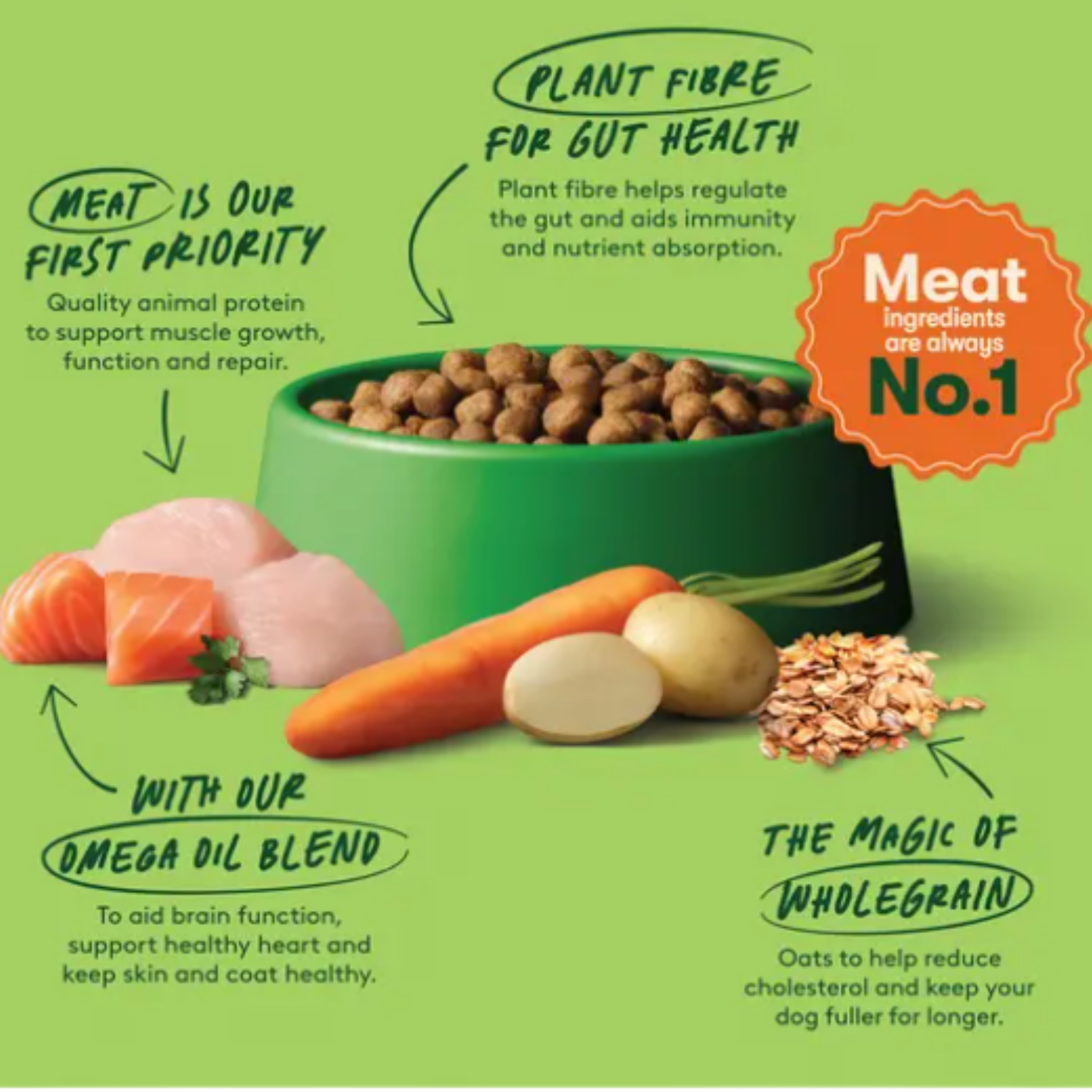 Dog food marketing graphic on a light green background with a green bowl of kibble and illustrated ingredients including salmon, chicken, carrot, potato, oats, and wholegrain. Curved text highlights key product benefits such as meat priority, plant fibre for gut health, omega oil blend, and wholegrain.