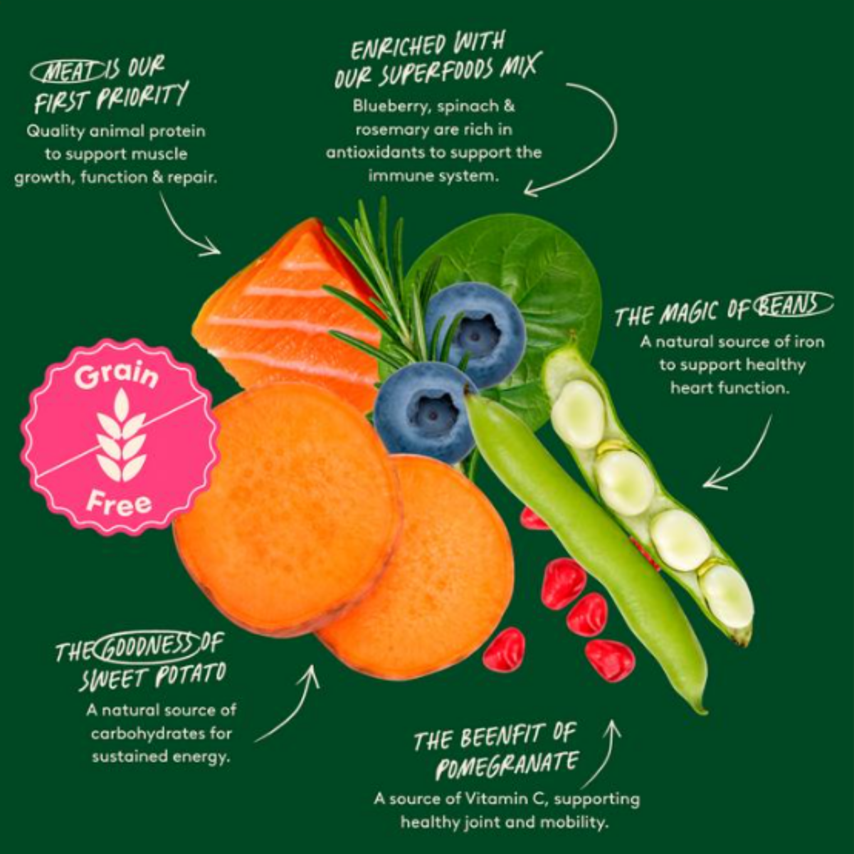 An infographic-style food collage on a dark green background showing illustrated vegetables and fruits with handwritten callouts and a pink 'Grain Free' badge. Visible produce includes sweet potato, salmon, blueberries, spinach, rosemary, pea pods, and pomegranate, with text describing health benefits.