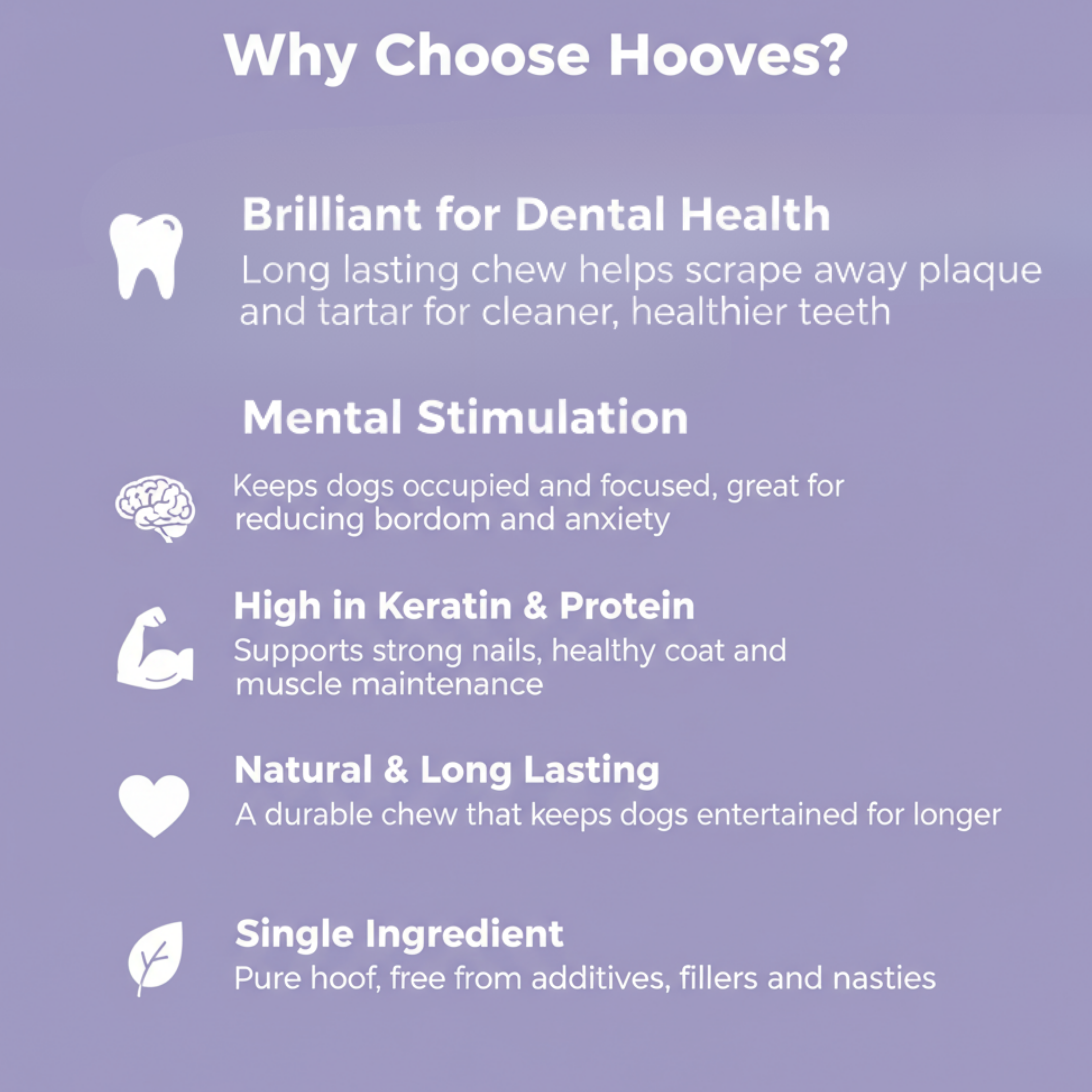 A purple informational graphic with the heading 'Why Choose Hooves?' and five white text points with icons: a tooth for dental health, a brain for mental stimulation, a muscle for keratin and protein, a heart for natural and long-lasting use, and a leaf for single ingredient purity.