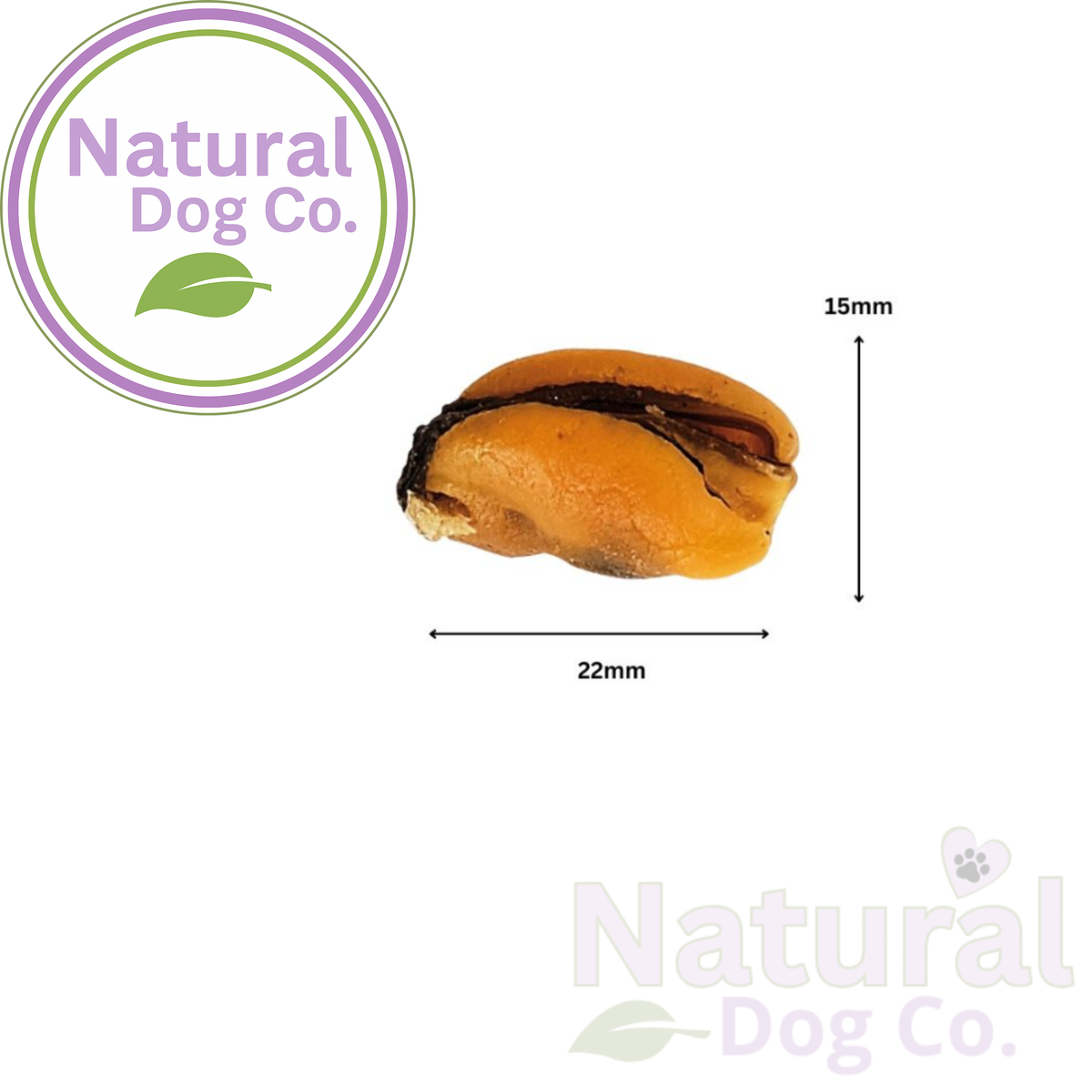 A single mussel dog treat shown on a white background with measurement arrows and labels indicating 22mm width, 15mm height, and the Natural Dog Co. logo in the top left.