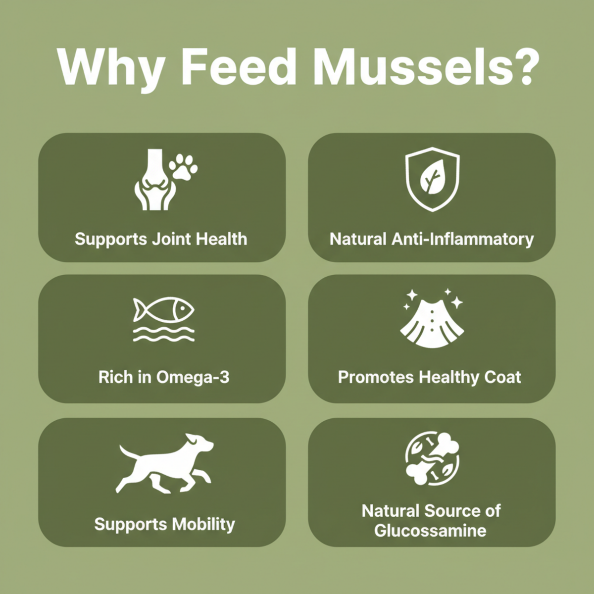 An informational graphic with the heading 'Why Feed Mussels?' on an olive green background, showing six dark green rounded panels with white icons and text: supports joint health, natural anti-inflammatory, rich in Omega-3, promotes healthy coat, supports mobility, and natural source of glucossamine.