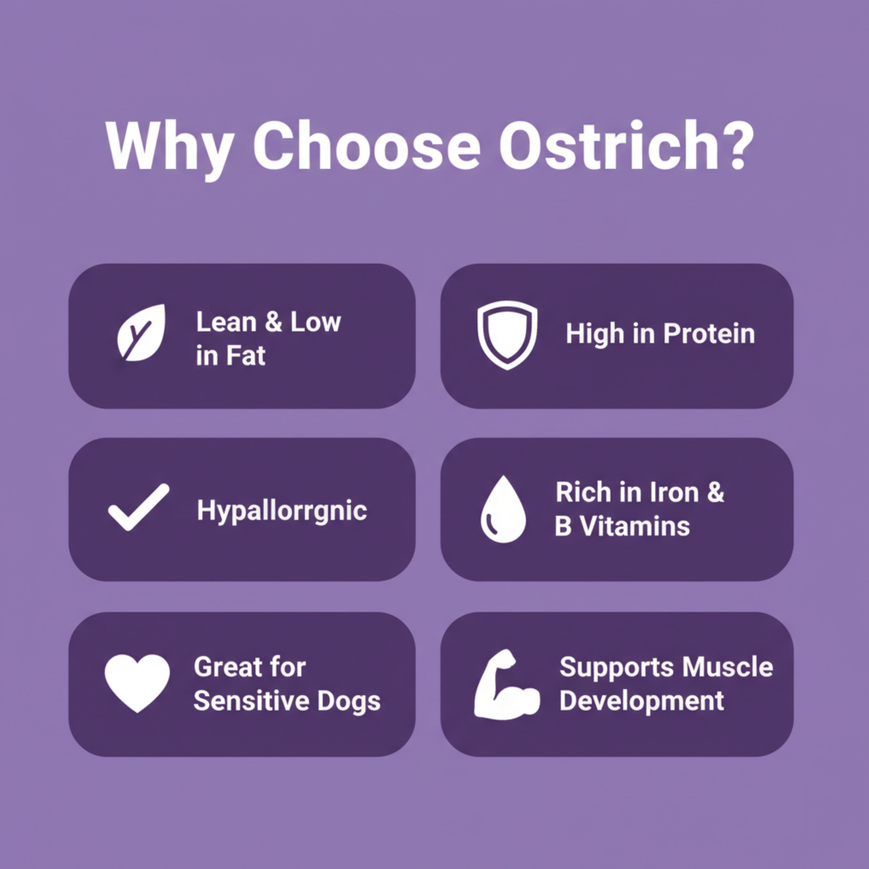 A purple promotional graphic with the heading 'Why Choose Ostrich?' and six rounded rectangular callout boxes listing benefits: lean and low in fat, high in protein, hypallorrgnic, rich in iron and B vitamins, great for sensitive dogs, and supports muscle development.