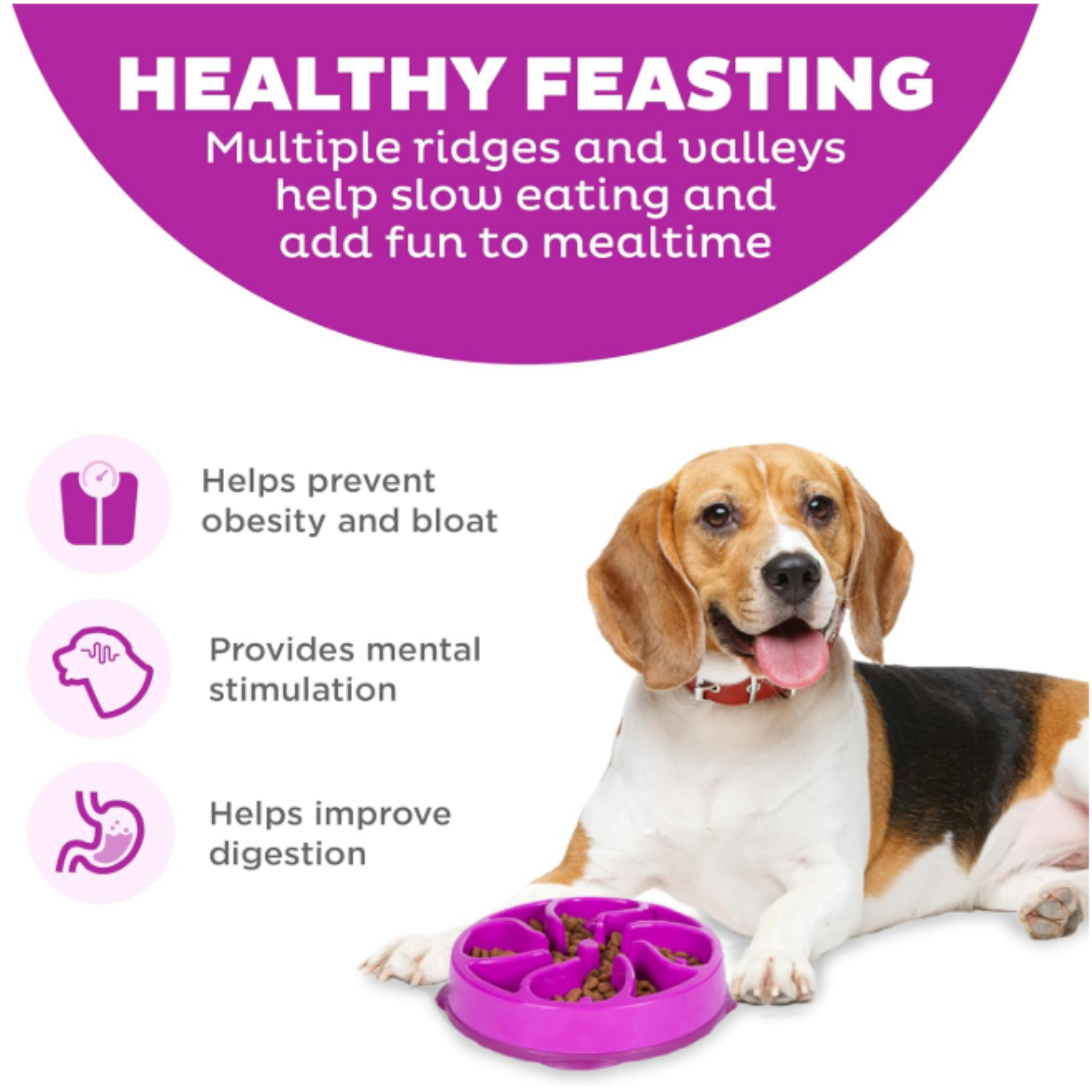 Dog with a purple slow feeder bowl on a white background, featuring text about healthy eating.