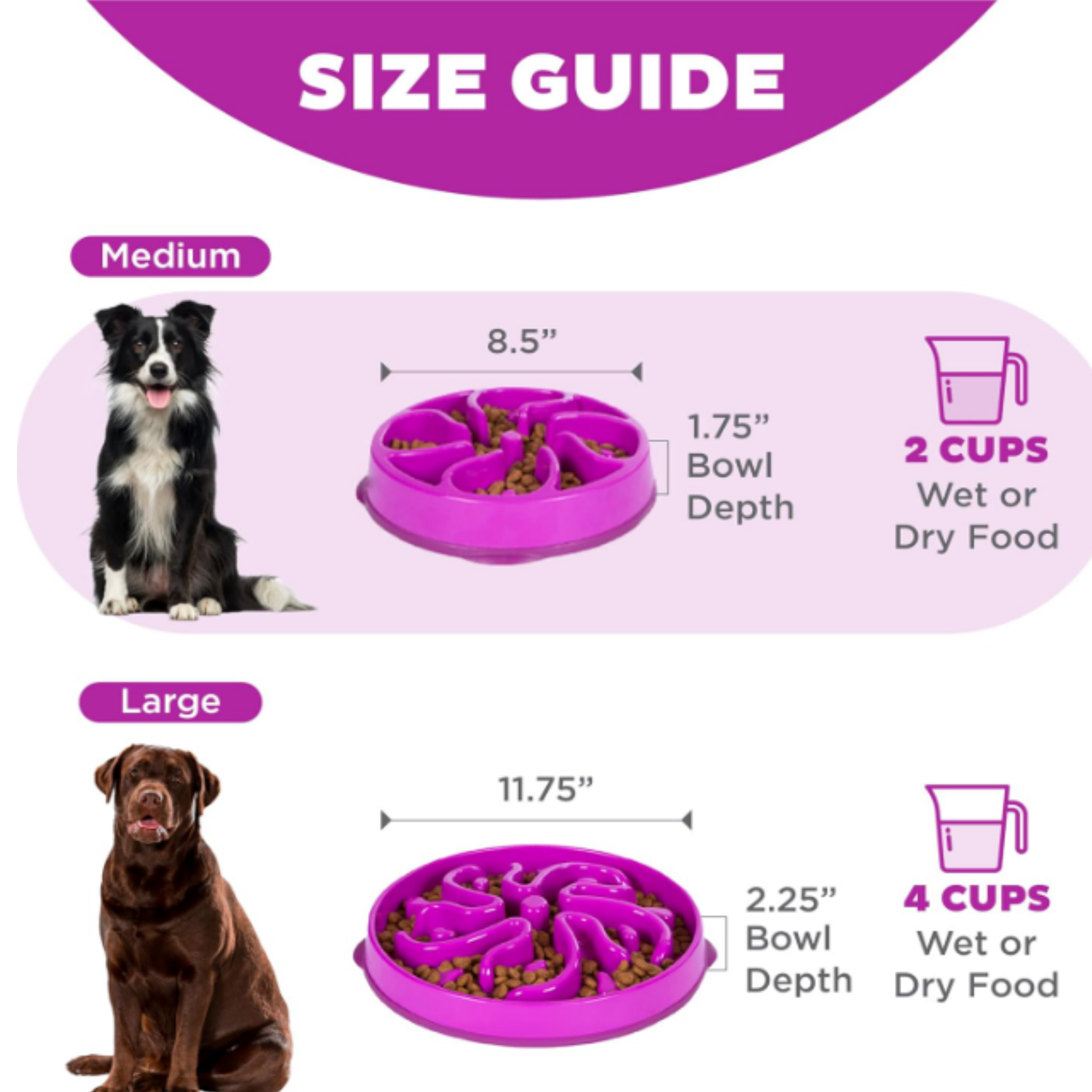 A size guide infographic for a purple multi-compartment pet slow feeder, showing dimensions and feeding capacity for both Medium and Large dogs, with photos of a black and white dog and a brown dog.