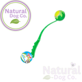 Ball Launcher & Ball