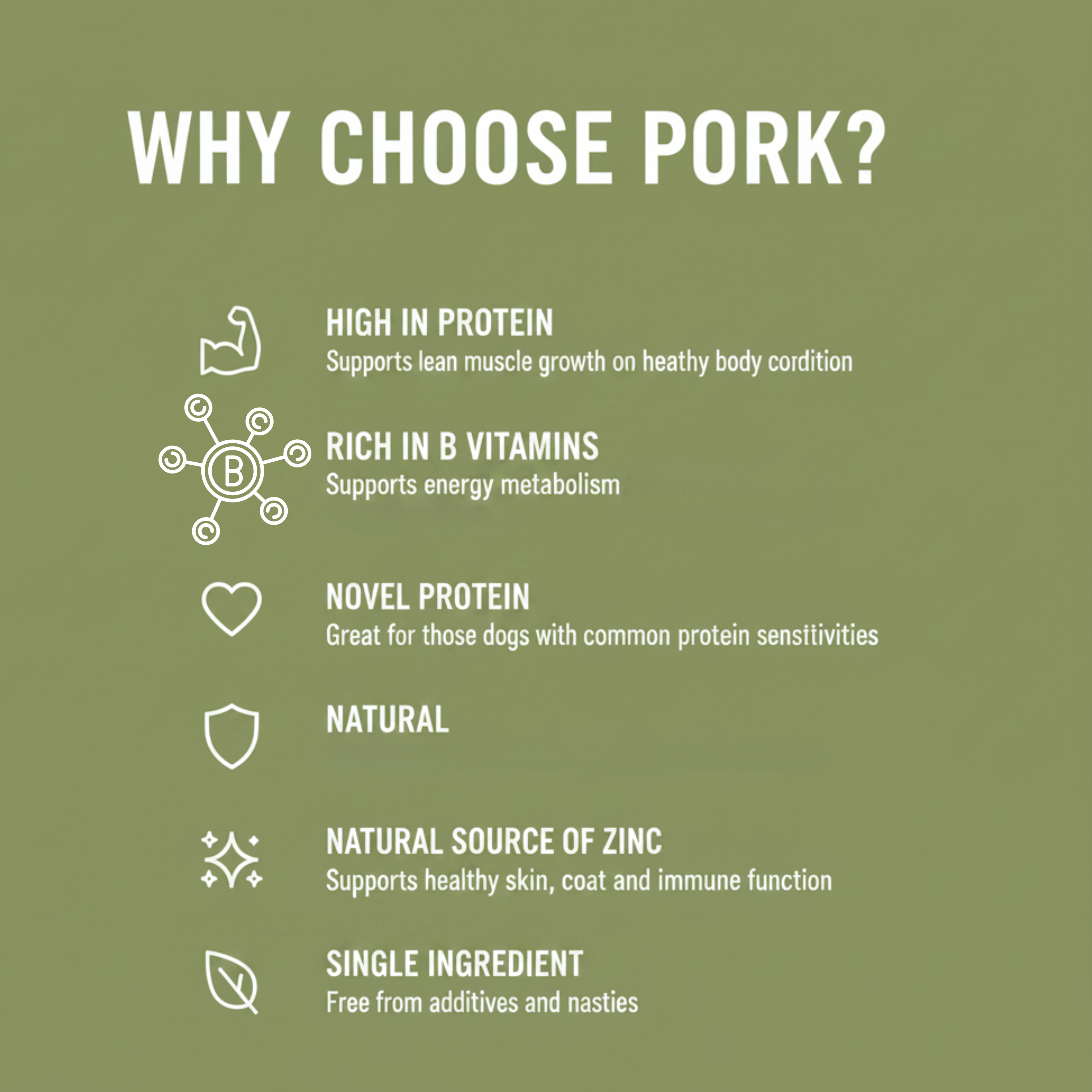 An informational graphic on an olive green background with the headline 'WHY CHOOSE PORK?' in white. Below, white icons and text list benefits such as high in protein, rich in B vitamins, novel protein, natural, natural source of zinc, and single ingredient.