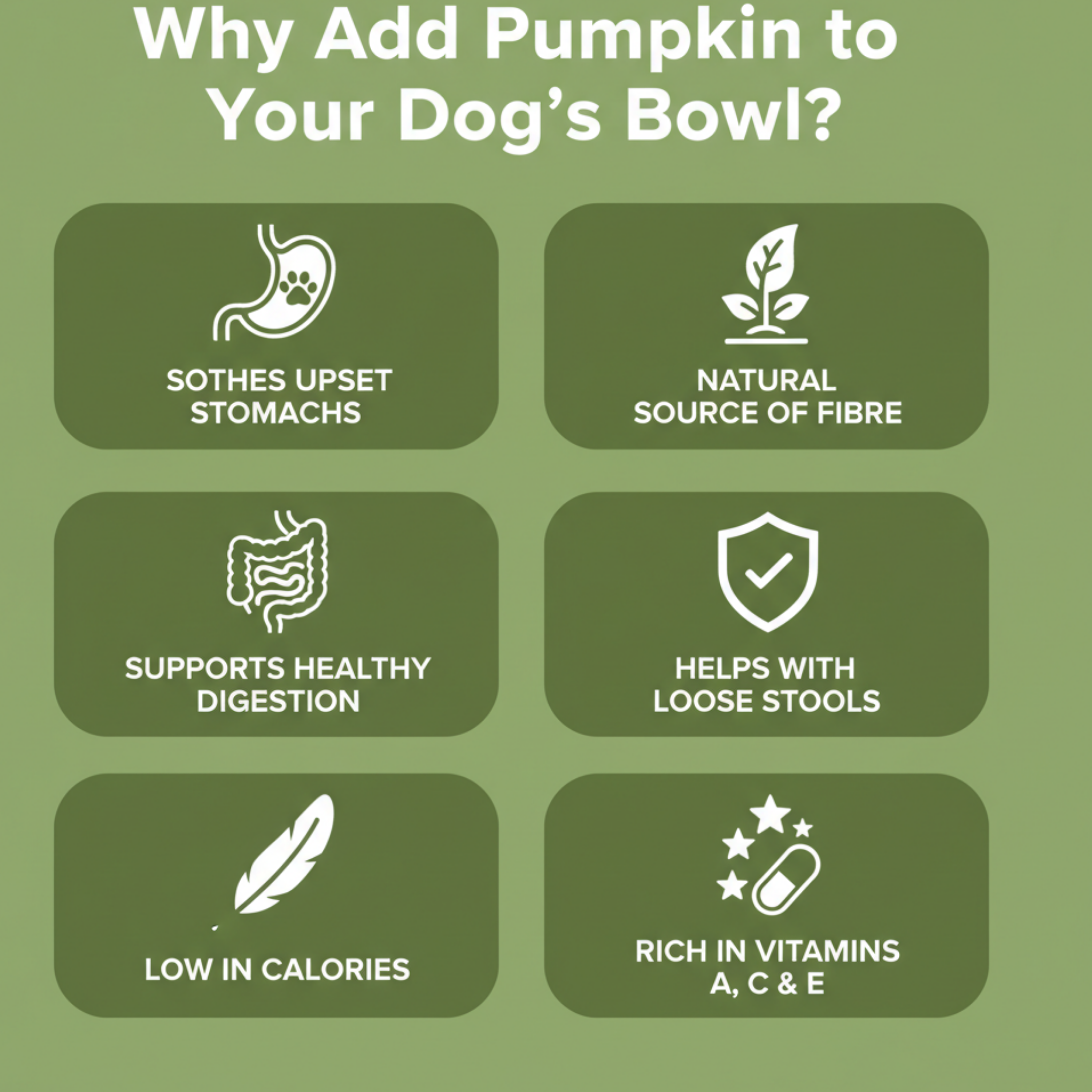 An informational graphic with the headline 'Why Add Pumpkin to Your Dog's Bowl?' on a muted green background, showing six benefit panels: soths upset stomachs, natural source of fibre, supports healthy digestion, helps with loose stools, low in calories, and rich in vitamins A, C & E.