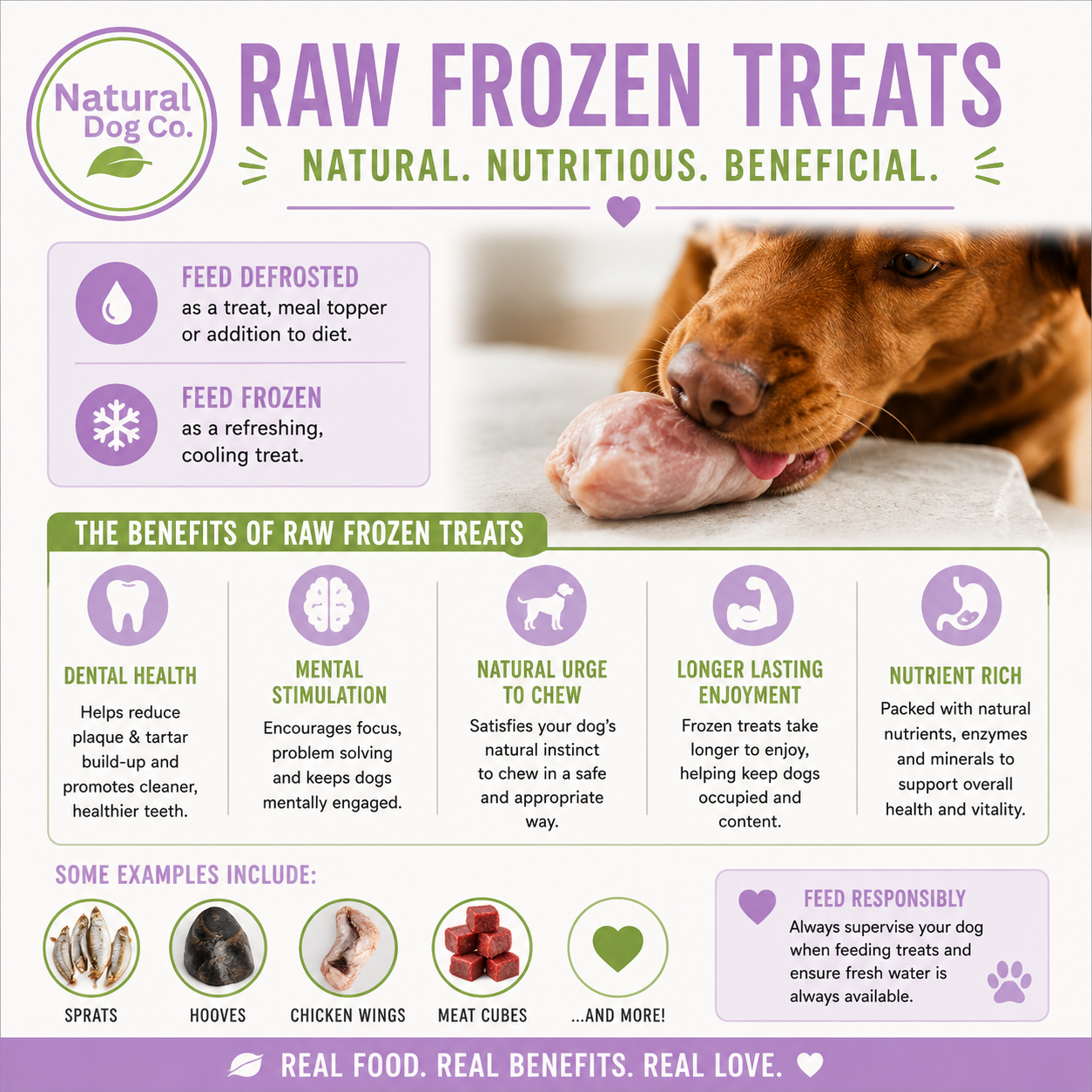 An informational graphic for Natural Dog Co. Raw Frozen Treats, featuring a close-up of a golden retriever licking its lips on the right side.
