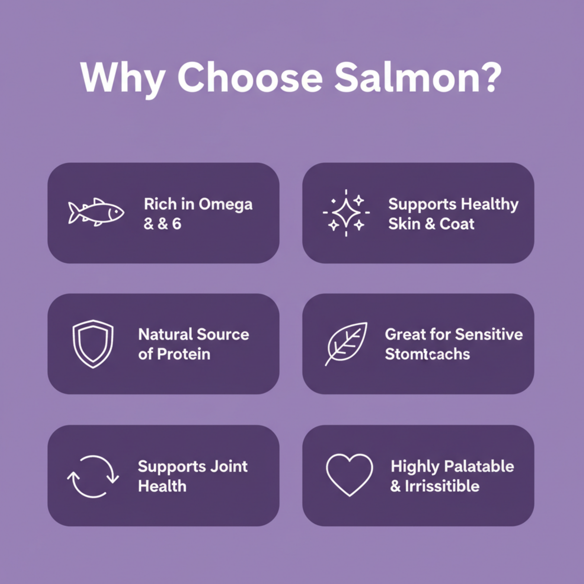 A purple promotional graphic with the heading 'Why Choose Salmon?' and six rounded rectangular callout boxes listing benefits: rich in Omega 3 & 6, supports healthy skin & coat, natural source of protein, great for sensitive stomachs, supports joint health, and highly palatable & irritable.