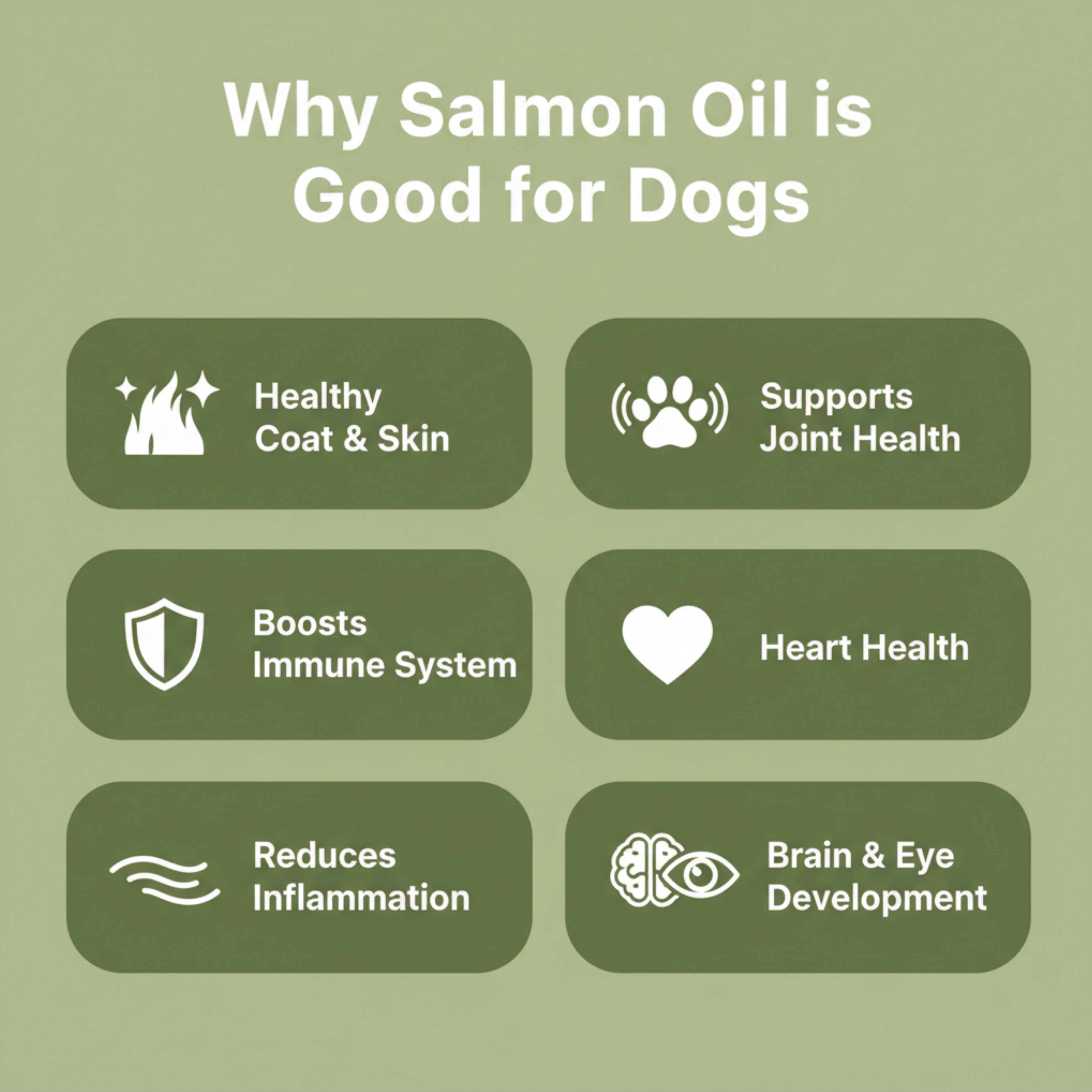 An informational graphic with the title 'Why Salmon Oil is Good for Dogs' on an olive green background, showing six benefit panels: healthy coat and skin, support for joint health, boosted immune system, heart health, reduced inflammation, and brain & eye development.