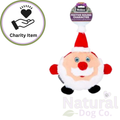 Webbox Festive Santa