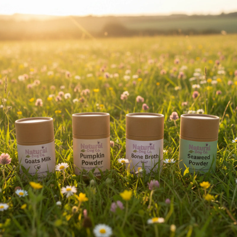 Four small supplement containers labeled Natural Dog Co. stand in a grassy wildflower field at sunset.