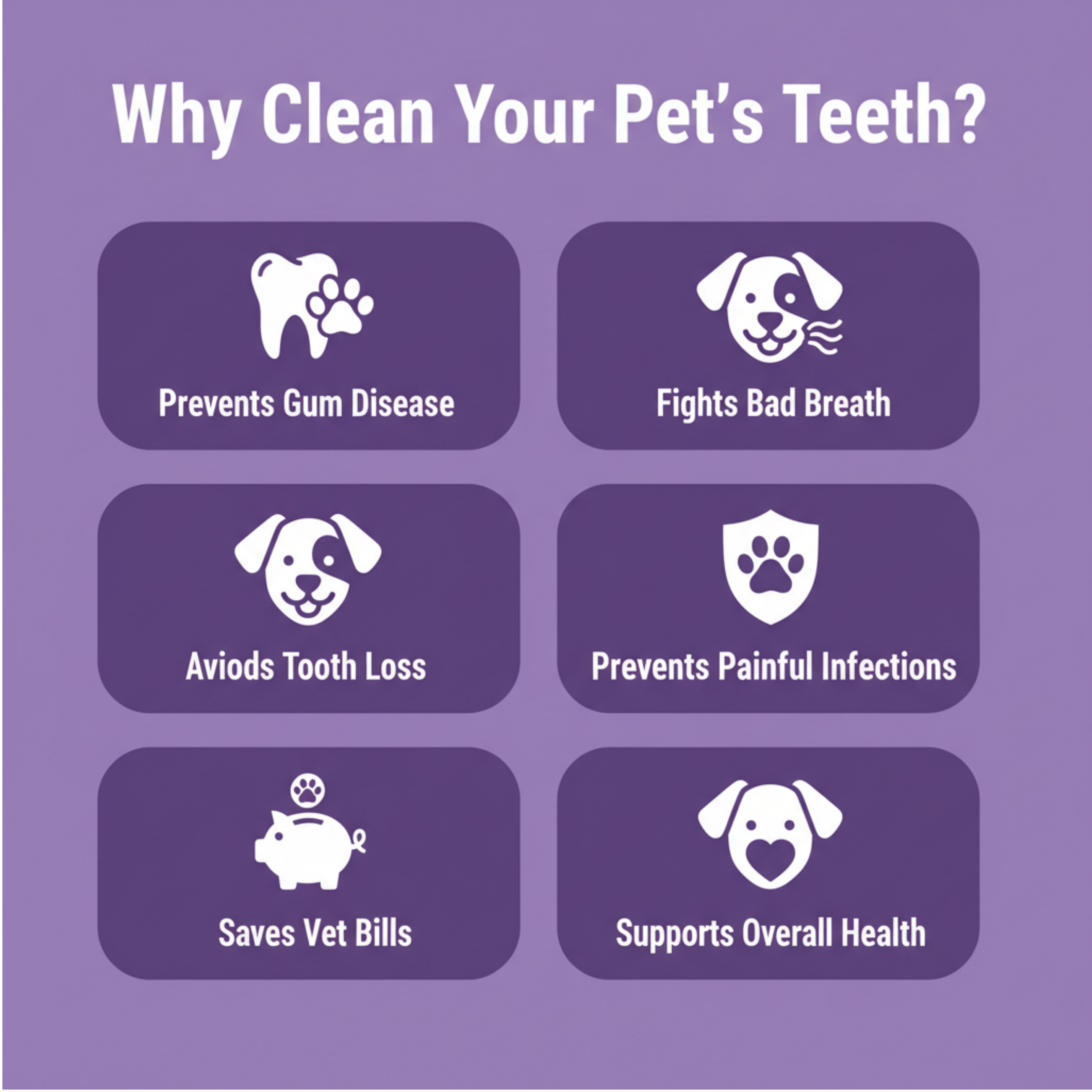 An informational graphic on a purple background with the title 'Why Clean Your Pet's Teeth?' and six rounded panels showing icons and text: prevents gum disease, fights bad breath, avoids tooth loss, prevents painful infections, saves vet bills, and supports overall health.