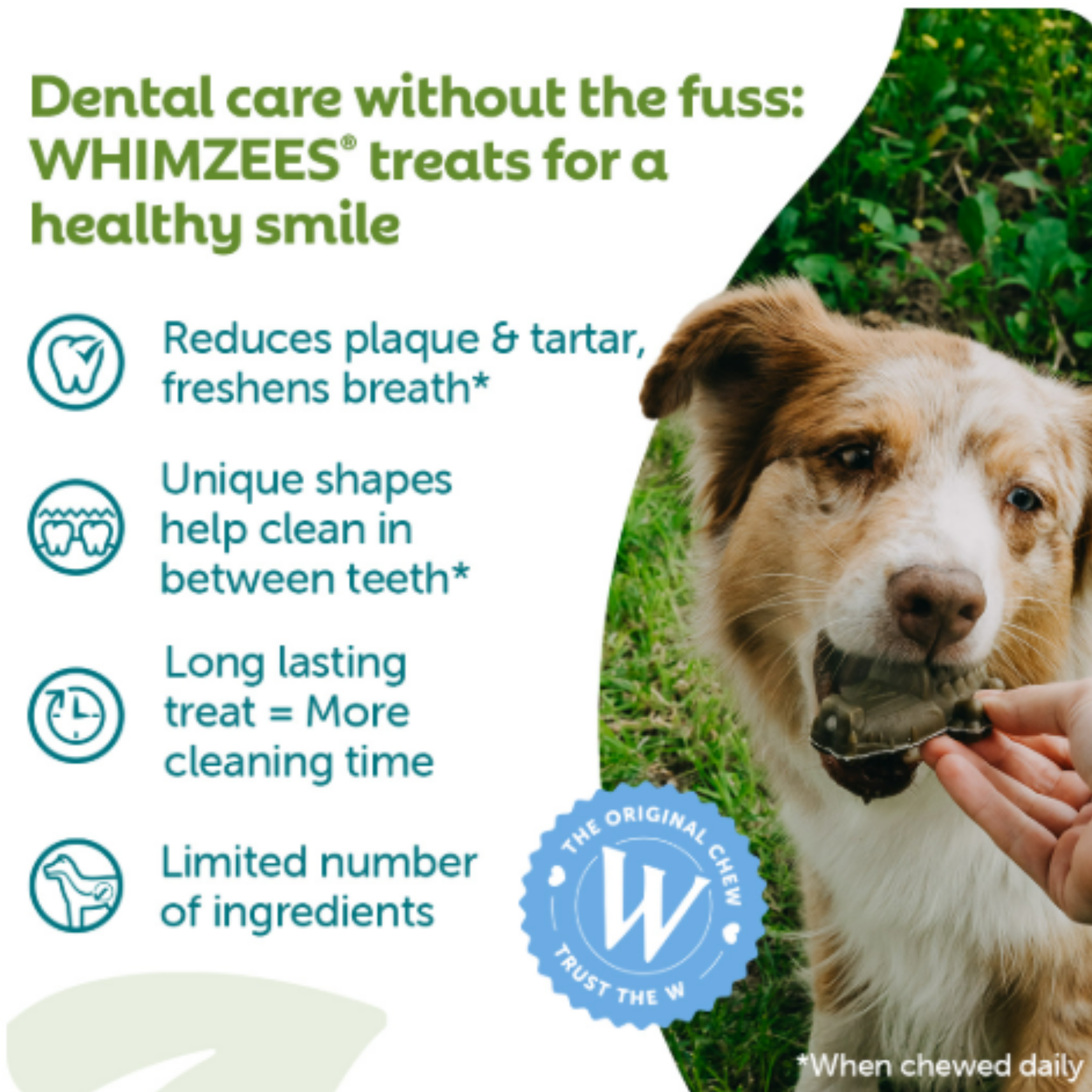 Promotional graphic for WHIMZEES dog dental treats, featuring a brown and white dog on the right being treated, with text and icons on the left highlighting benefits like reduced plaque and tartar and unique shapes for cleaning between teeth.