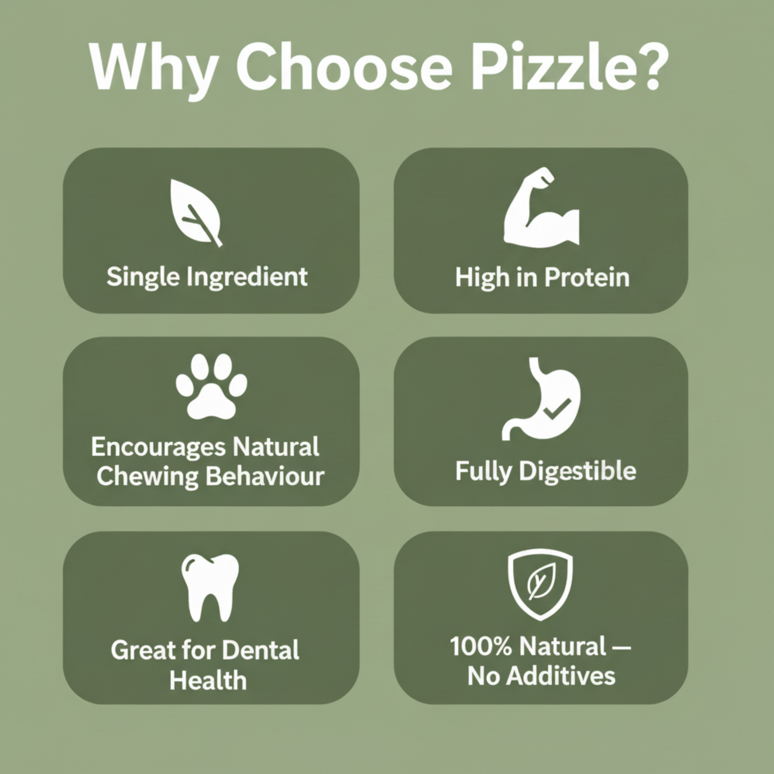 An informational graphic with the heading 'Why Choose Pizzle?' on a muted green background, showing six dark green rounded boxes with white icons and text about product benefits: single ingredient, high in protein, encourages natural chewing behaviour, fully digestible, great for dental health, and 100% natural with no additives.
