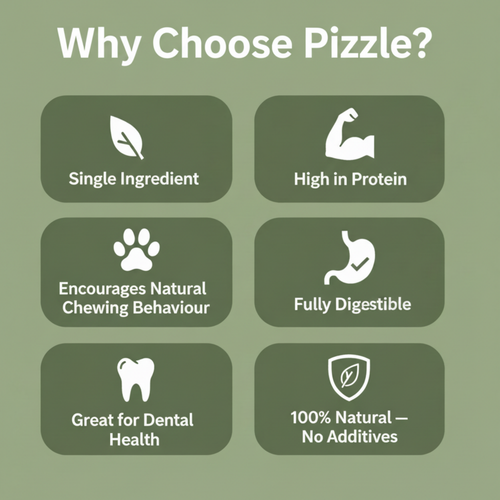An informational graphic with the heading 'Why Choose Pizzle?' on a muted green background, showing six dark green rounded boxes with white icons and text about product benefits: single ingredient, high in protein, encourages natural chewing behaviour, fully digestible, great for dental health, and 100% natural with no additives.