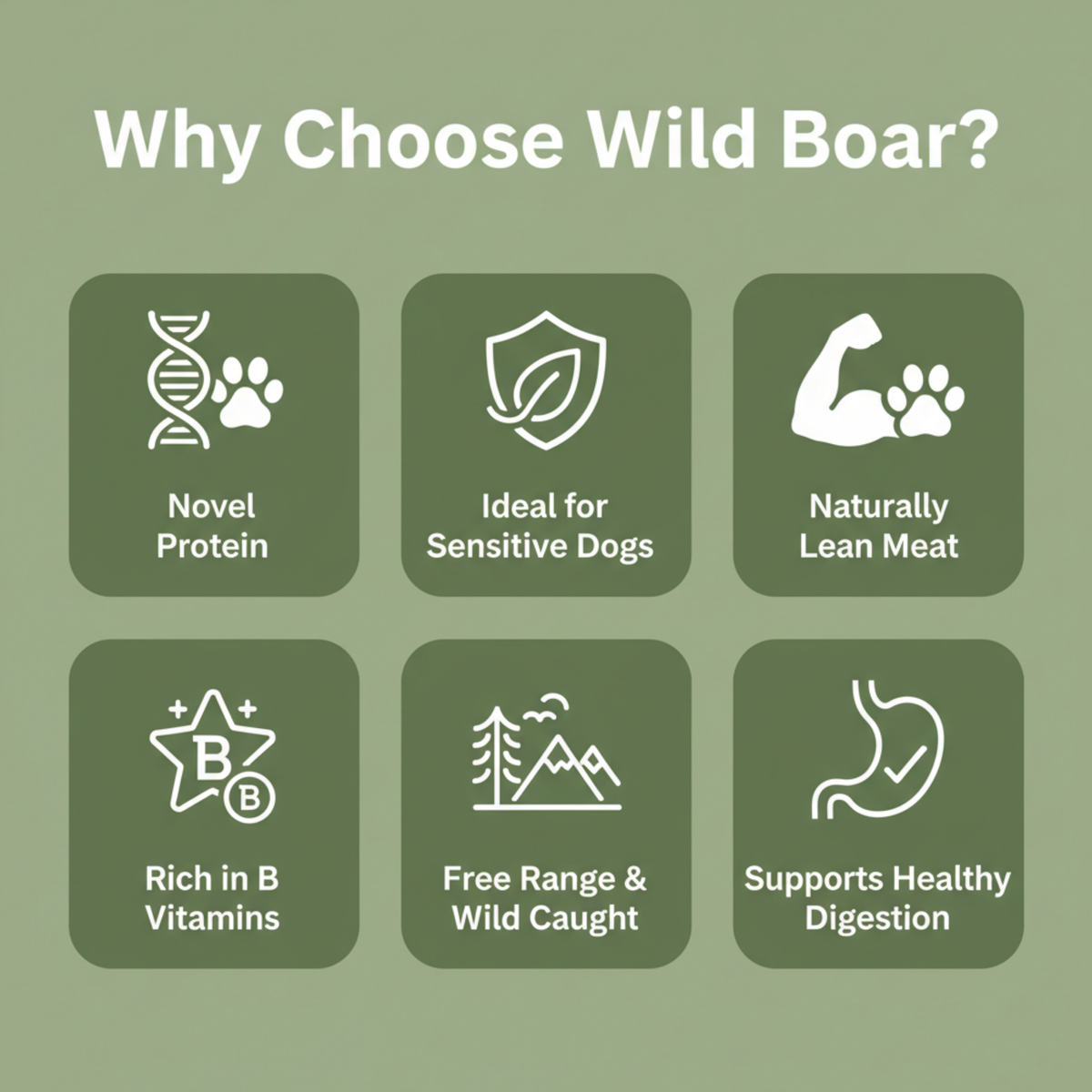 A green promotional graphic with the heading 'Why Choose Wild Boar?' and six icon-based benefit callouts for dog food: novel protein, ideal for sensitive dogs, naturally lean meat, rich in B vitamins, free range & wild caught, and supports healthy digestion.