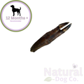 A wild boar trotter from Natural Dog Co. on a white background, featuring a '12 Months + Recommended' badge in the top-left corner.