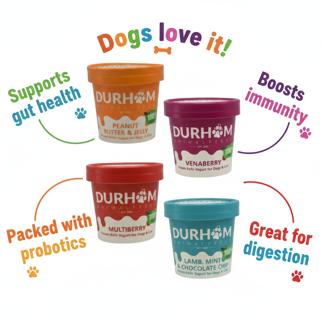 Four Durham Naturals dog yogurt cups arranged in a 2x2 grid on a white background with colorful promotional text and arrows around them. The products shown are Peanut Butter & Jelly, Venaberry, Multiberry, and Lamb, Mint & Chocolate Chip flavors.