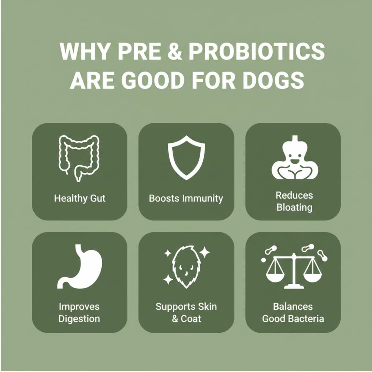 An informational graphic with the headline 'WHY PRE & PROBIOTICS ARE GOOD FOR DOGS' on a muted green background, followed by six dark green rounded panels with white icons and text listing benefits: healthy gut, boosts immunity, reduces bloating, improves digestion, supports skin & coat, and balances good bacteria.