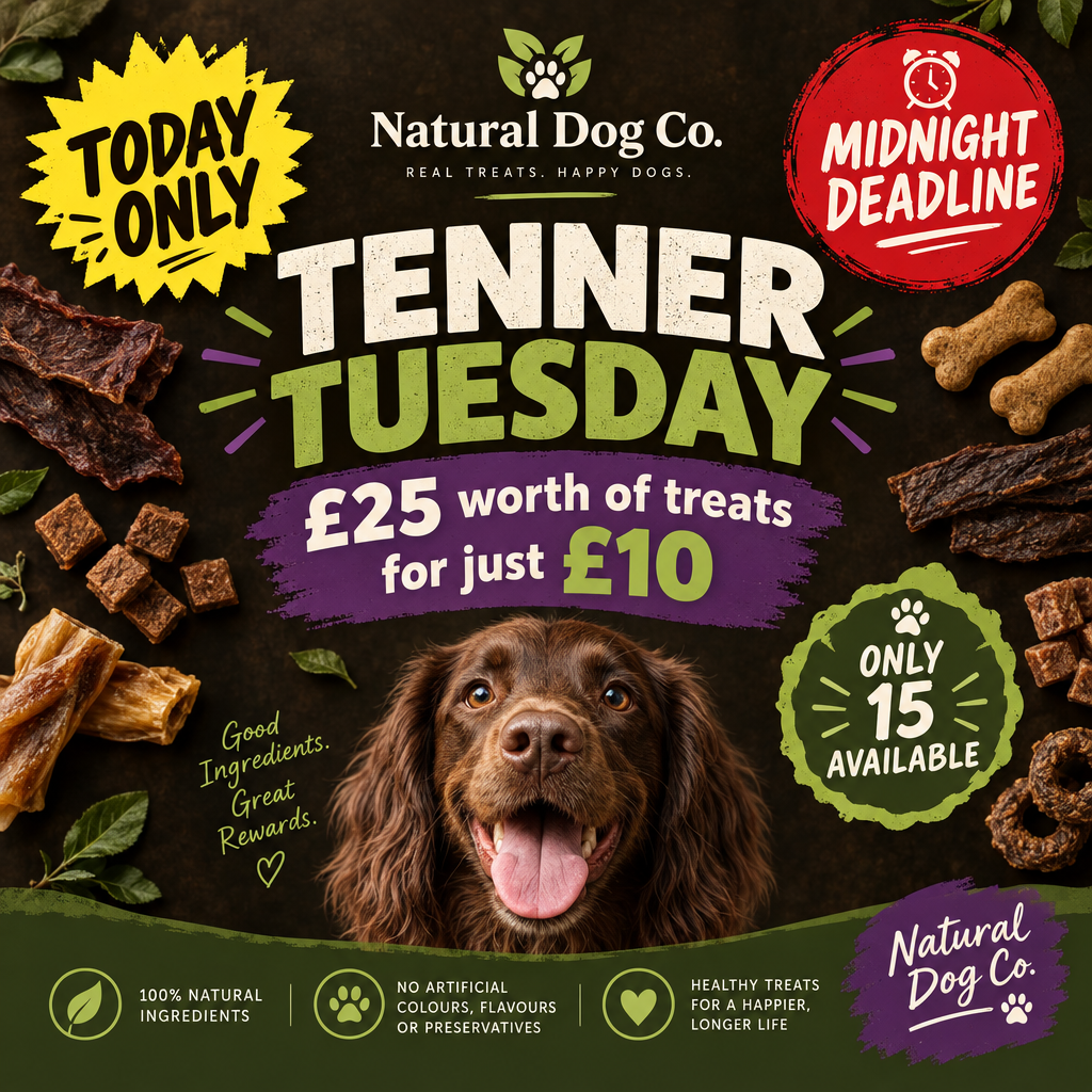 Tenner Tuesday promotional graphic for Natural Dog Co showing £25 worth of natural dog treats for £10, with flash badges highlighting today only, midnight deadline and only 15 available