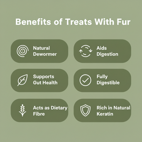 A green promotional graphic with the heading 'Benefits of Treats With Fur' and six rounded rectangular callout boxes listing product benefits: natural dewormer, aids digestion, supports gut health, fully digestible, acts as dietary fibre, and rich in natural keratin.