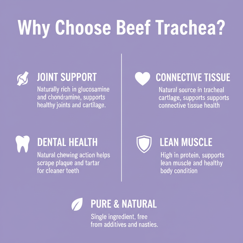 An informational graphic on a lavender background titled 'Why Choose Beef Trachea?' with four benefit callouts: joint support, connective tissue, dental health, and lean muscle, plus a 'Pure & Natural' note.